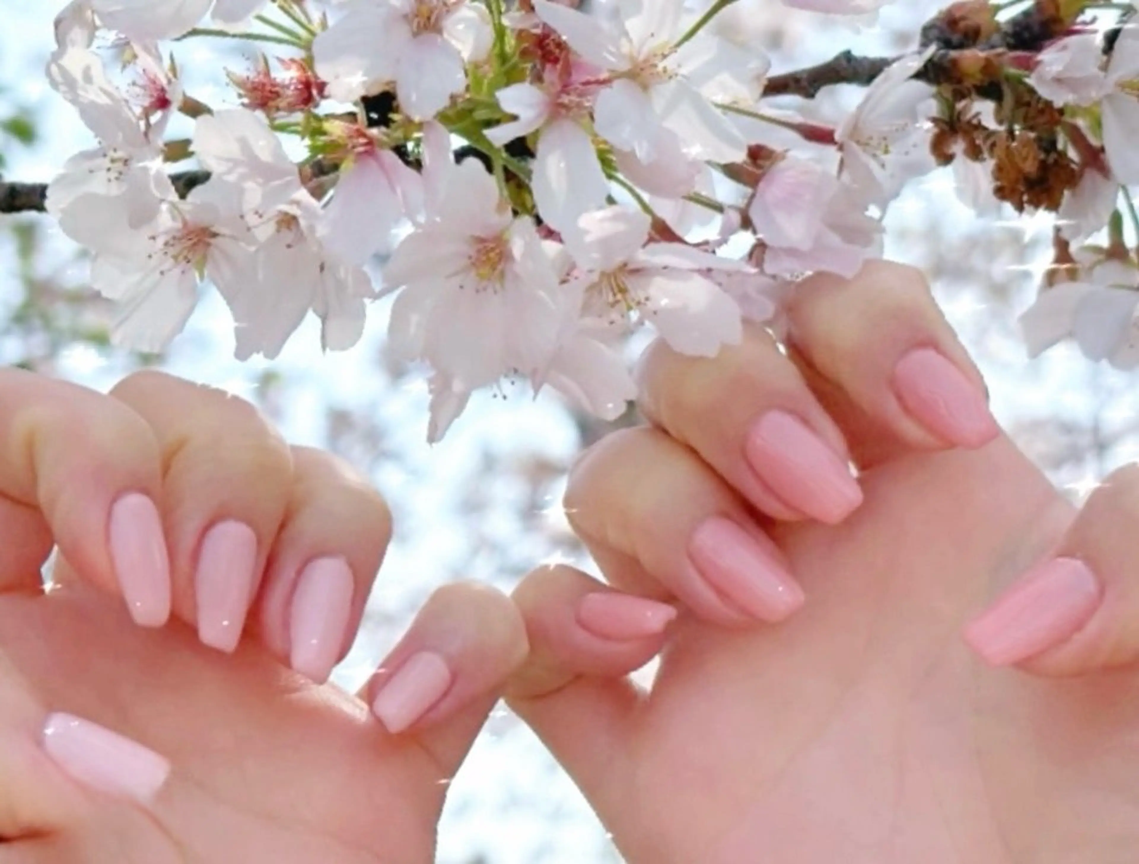 春先取り🌸パステルワンカラーの写真