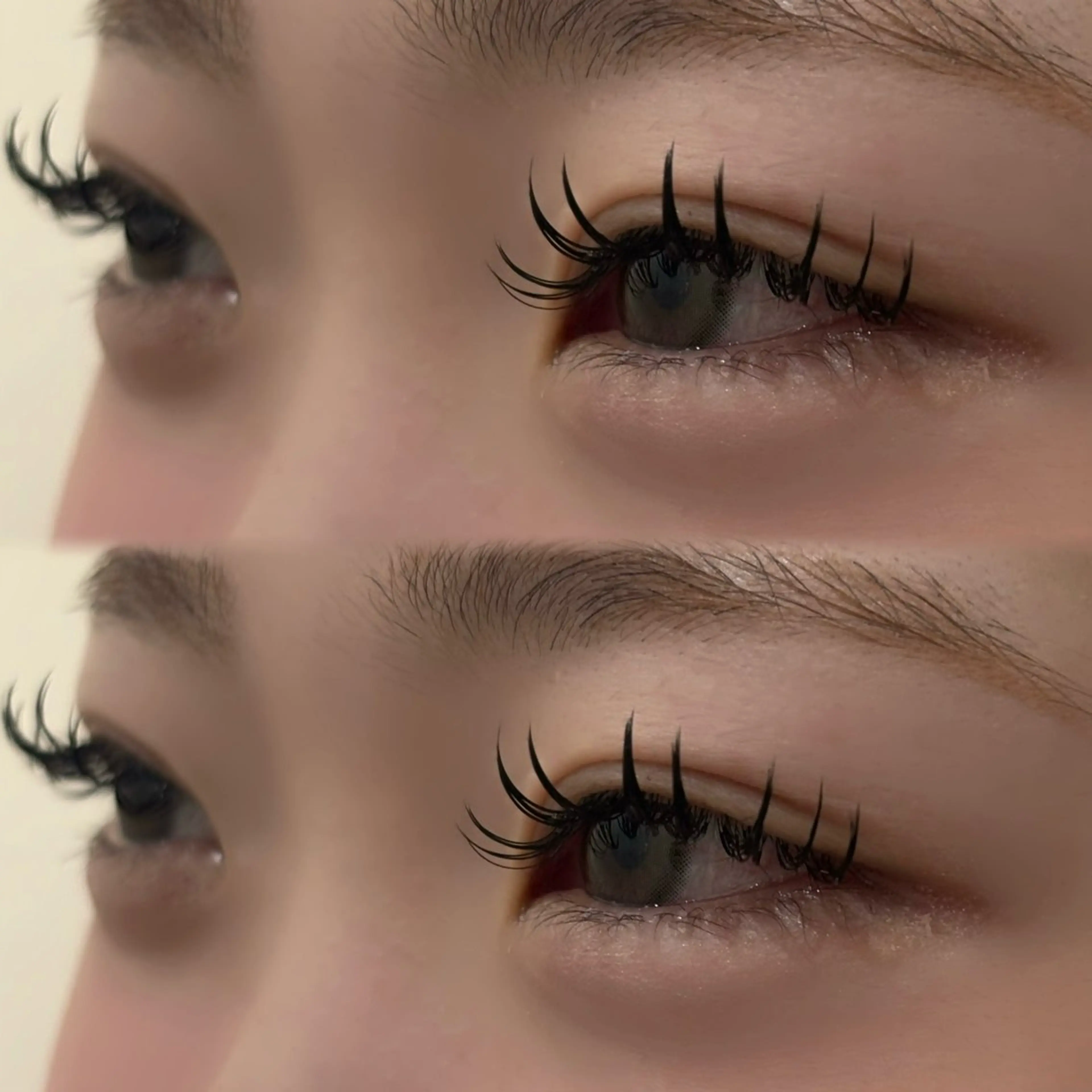 ★フラットラッシュ 練習モデル ★ 100~160本 ★の写真