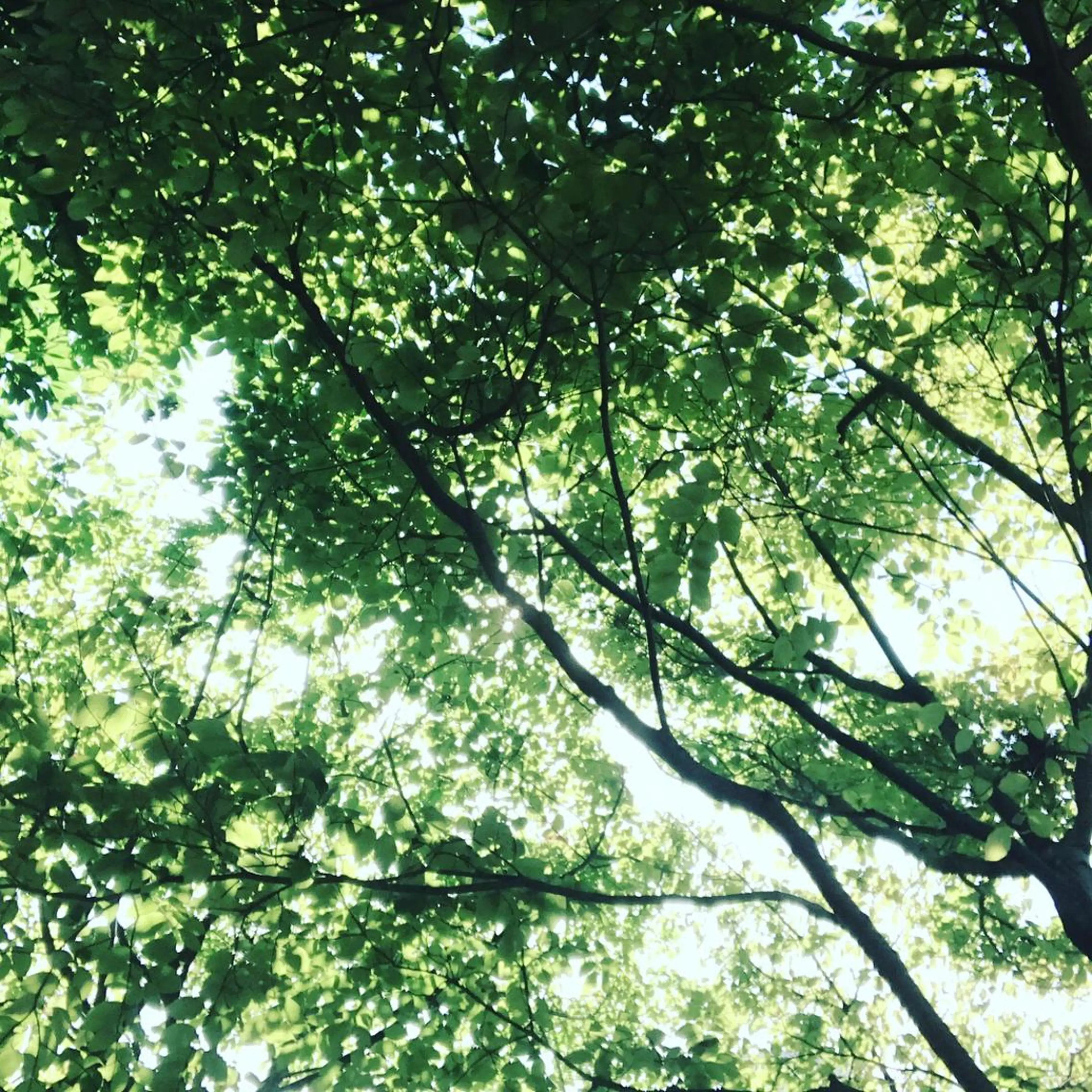 pipi ..のネイルデザイン