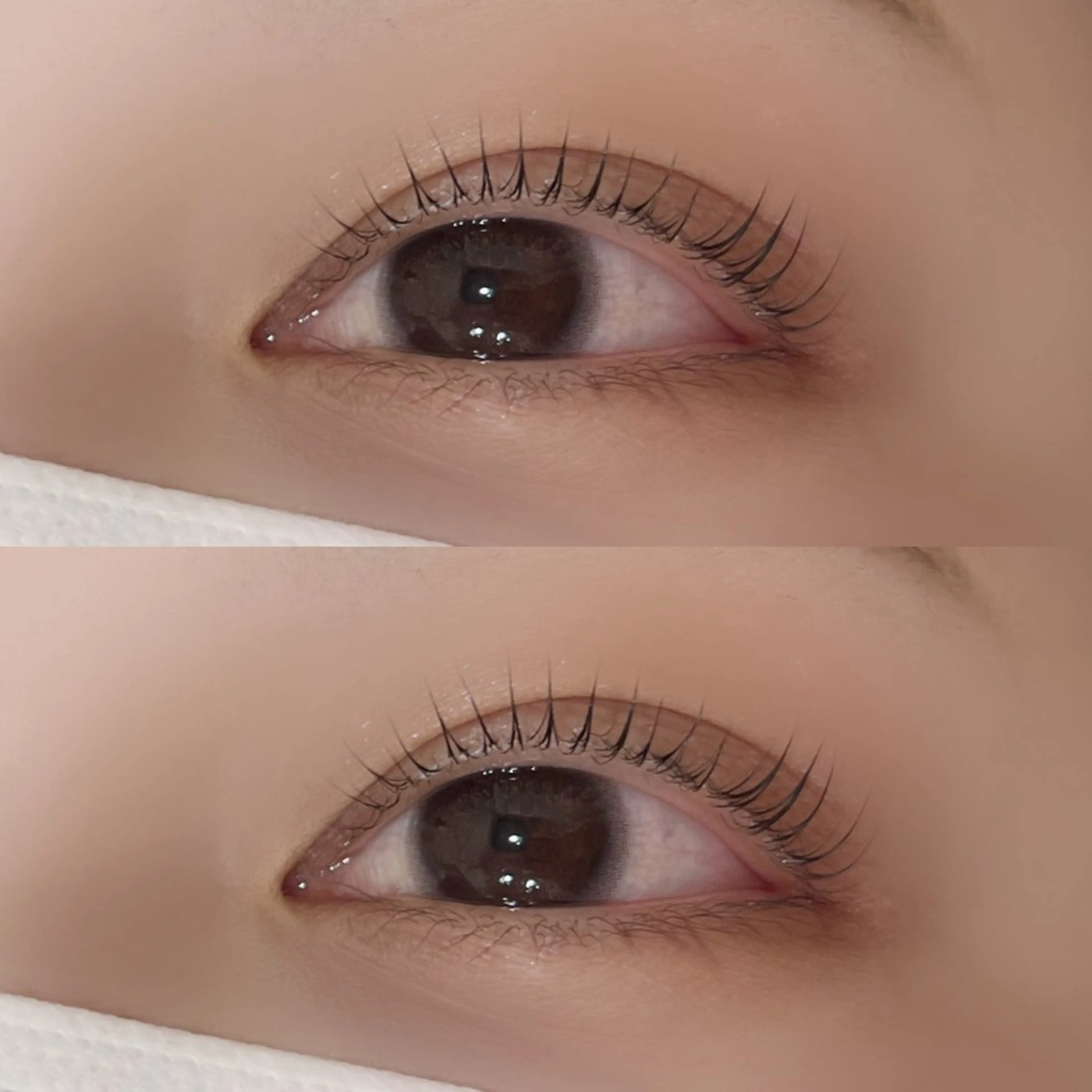 マツエク・マツパ パリジェンヌラッシュリフト マツパ ᴇʏᴇʟɪsᴛ ᴍɪᴋɪ️🫧のマツエク・マツパデザイン