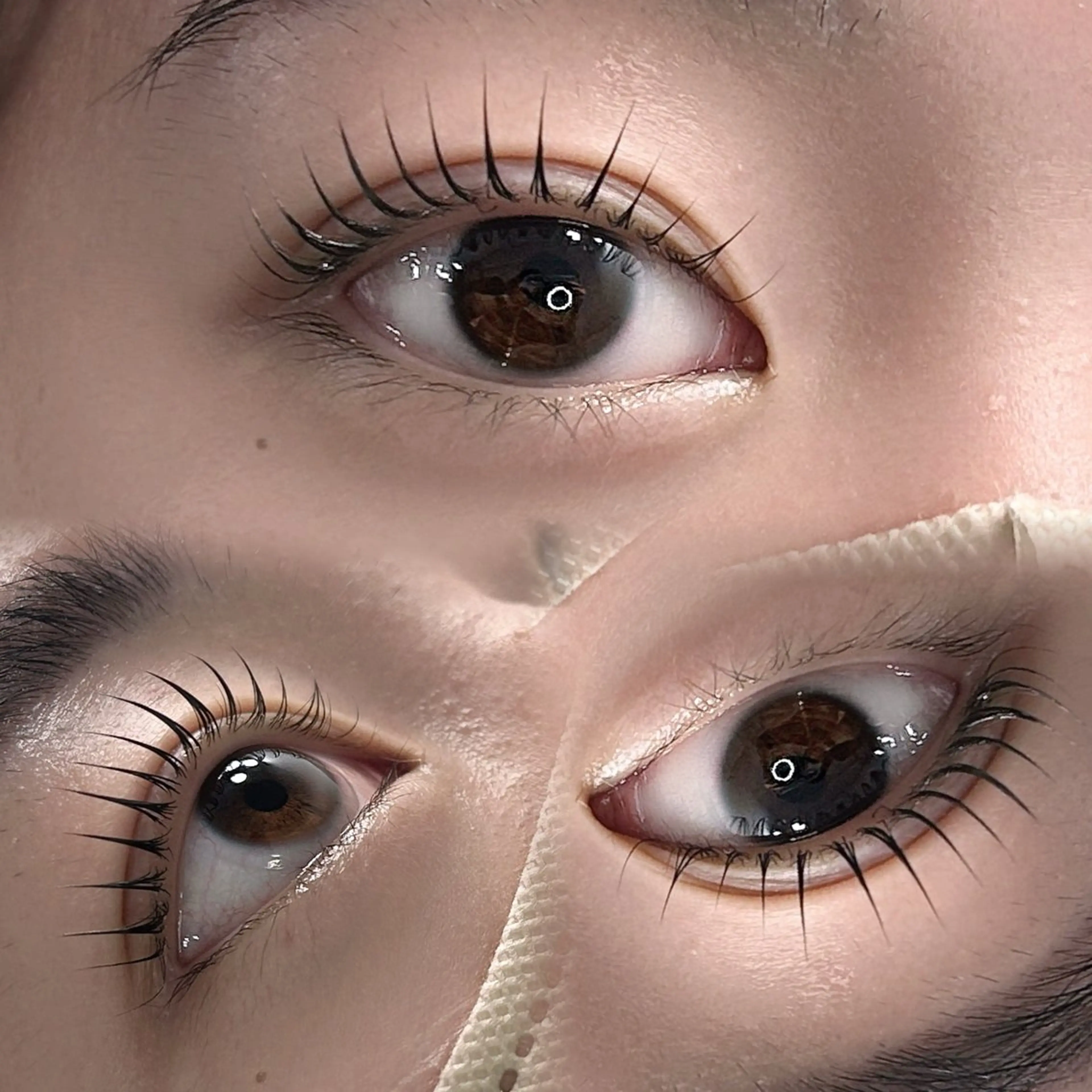 【まつげパーマ🪐立ち上げ×ストレート】ラシュリー🪻の写真