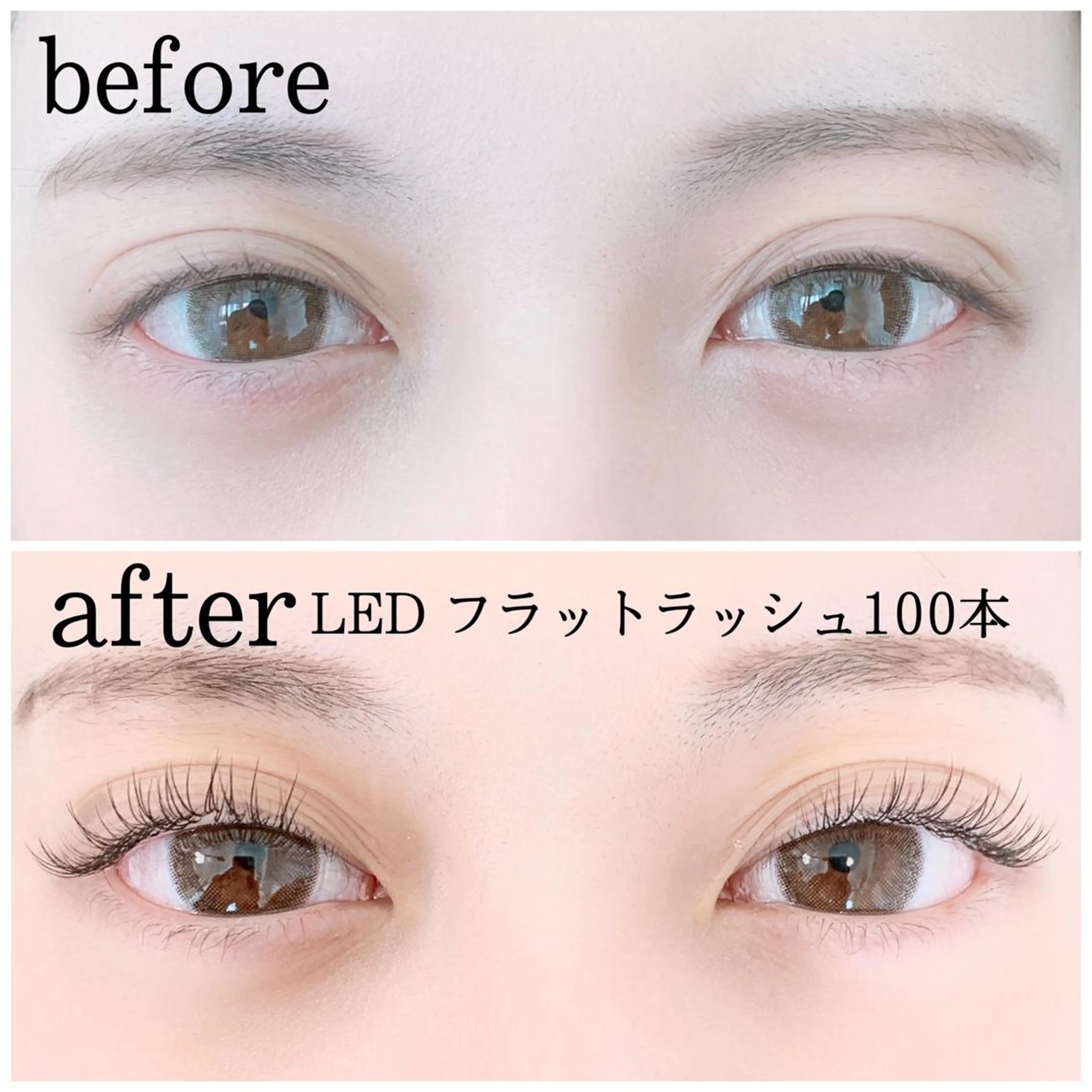 🤍ミニモ特別価格🤍次世代LEDフラットラッシュナチュラルアイ好きの方にオススメ100本♪超持続性LEDお試し特価♡の写真