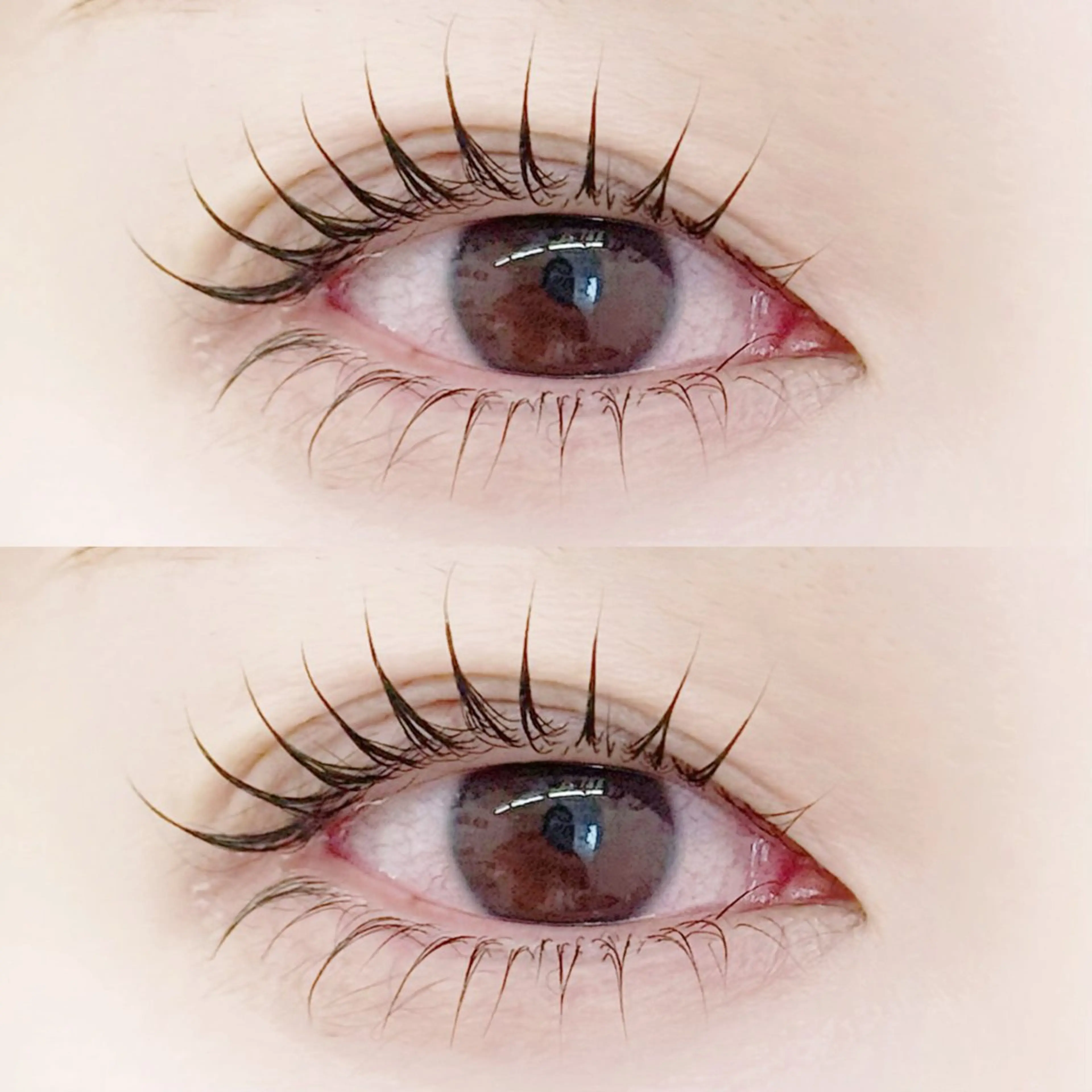 上下パリジェンヌラッシュリフト🌱お目元がぱっちり◎        🩷¥9000🩷　すぐ予約⭕️の写真