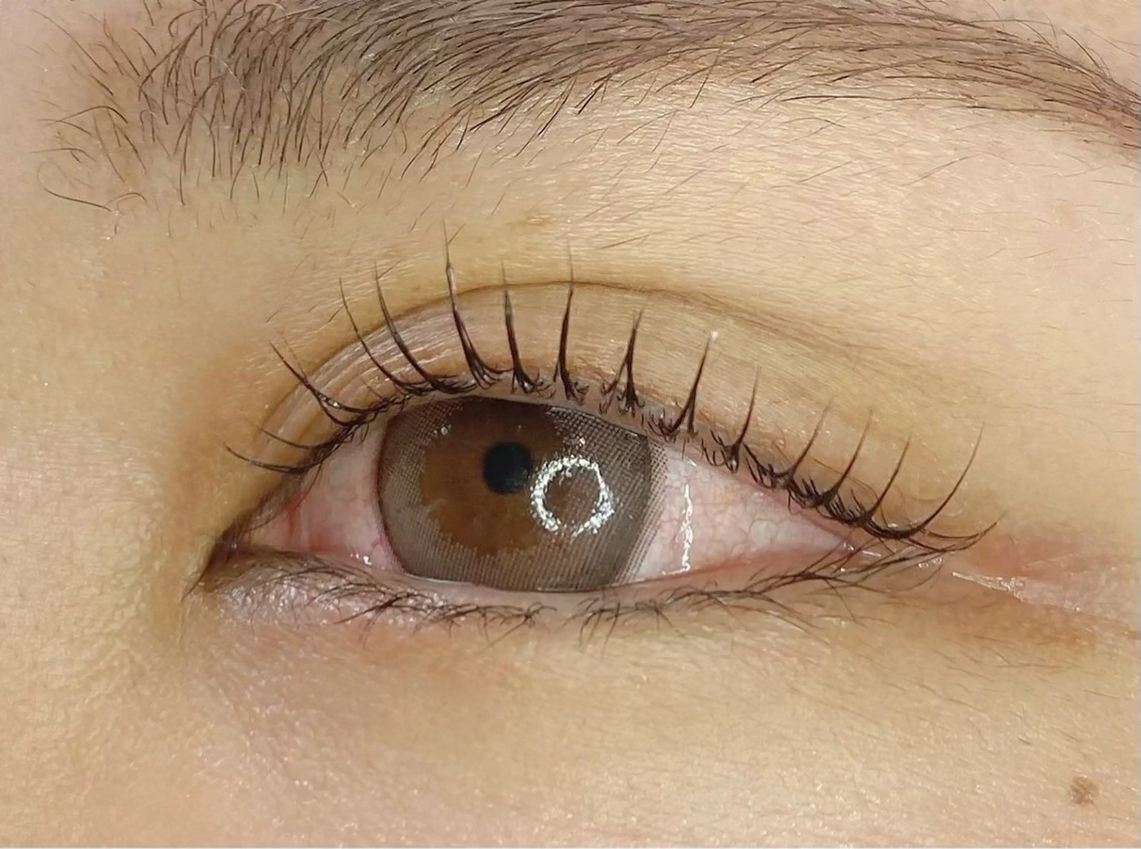 マツエク・マツパ パリジェンヌラッシュリフト ME-ME harukaのマツエク・マツパデザイン