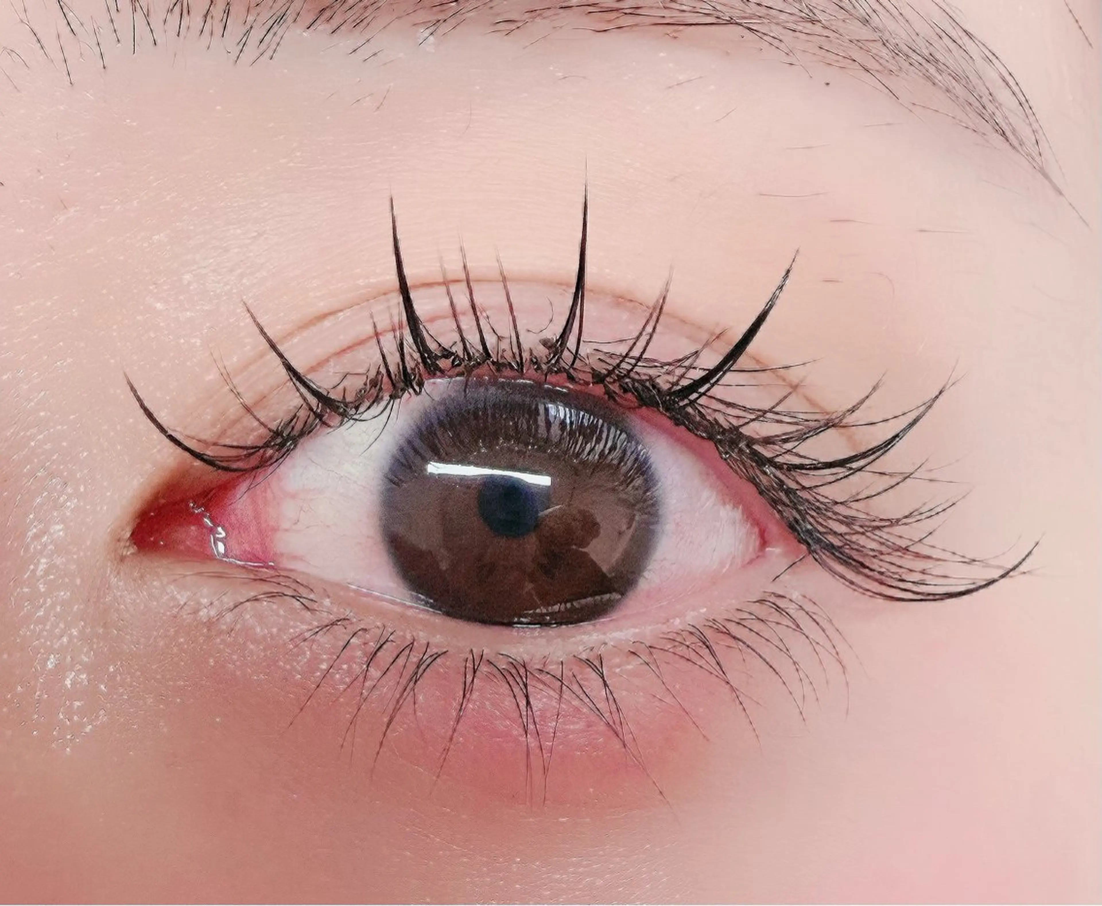 🩷大人気中華ナチュラルワンホンフラットラッシュ120本/コテイング付き❤️の写真