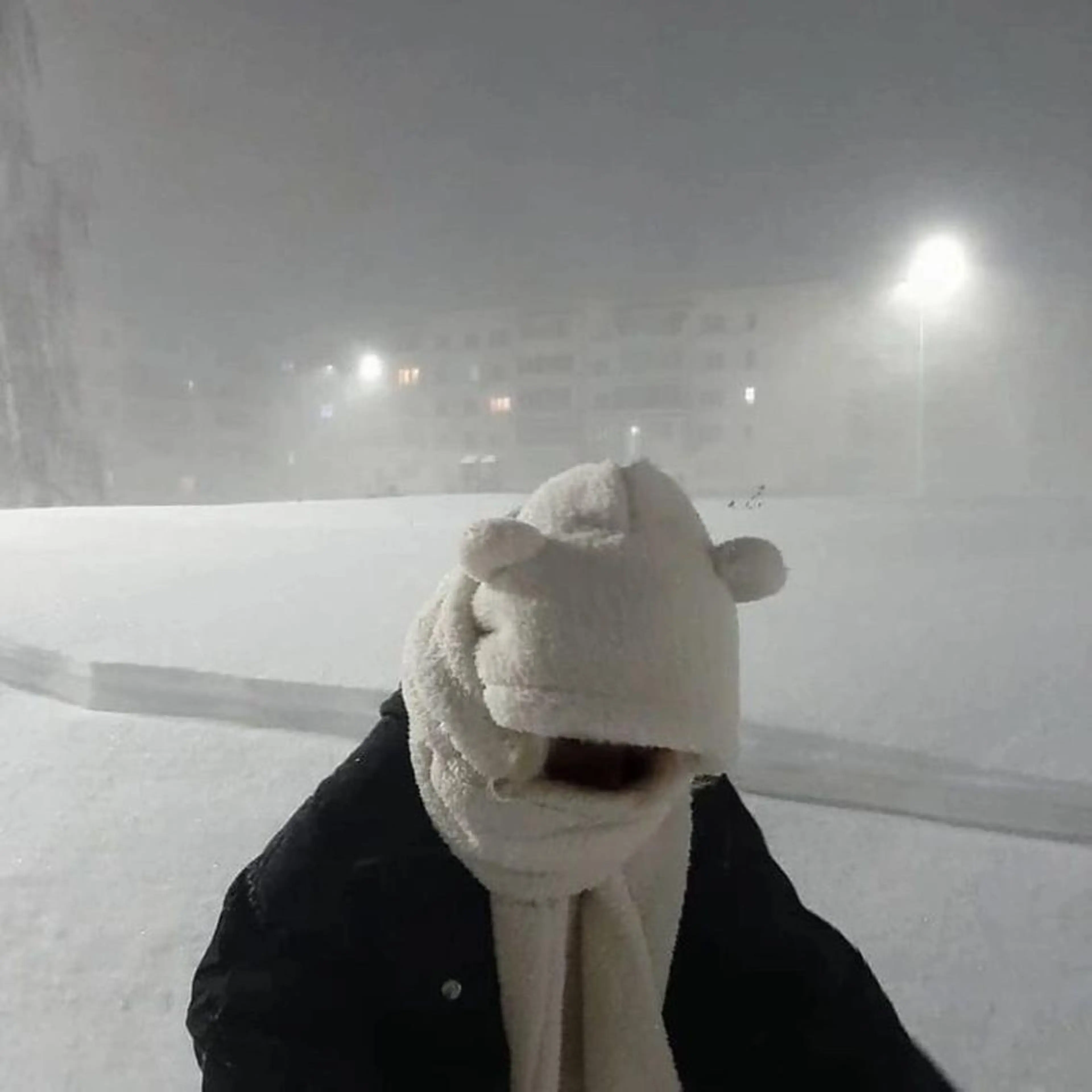 マツエク・マツパ アイブロウ やまもと あいらのマツエク・マツパデザイン