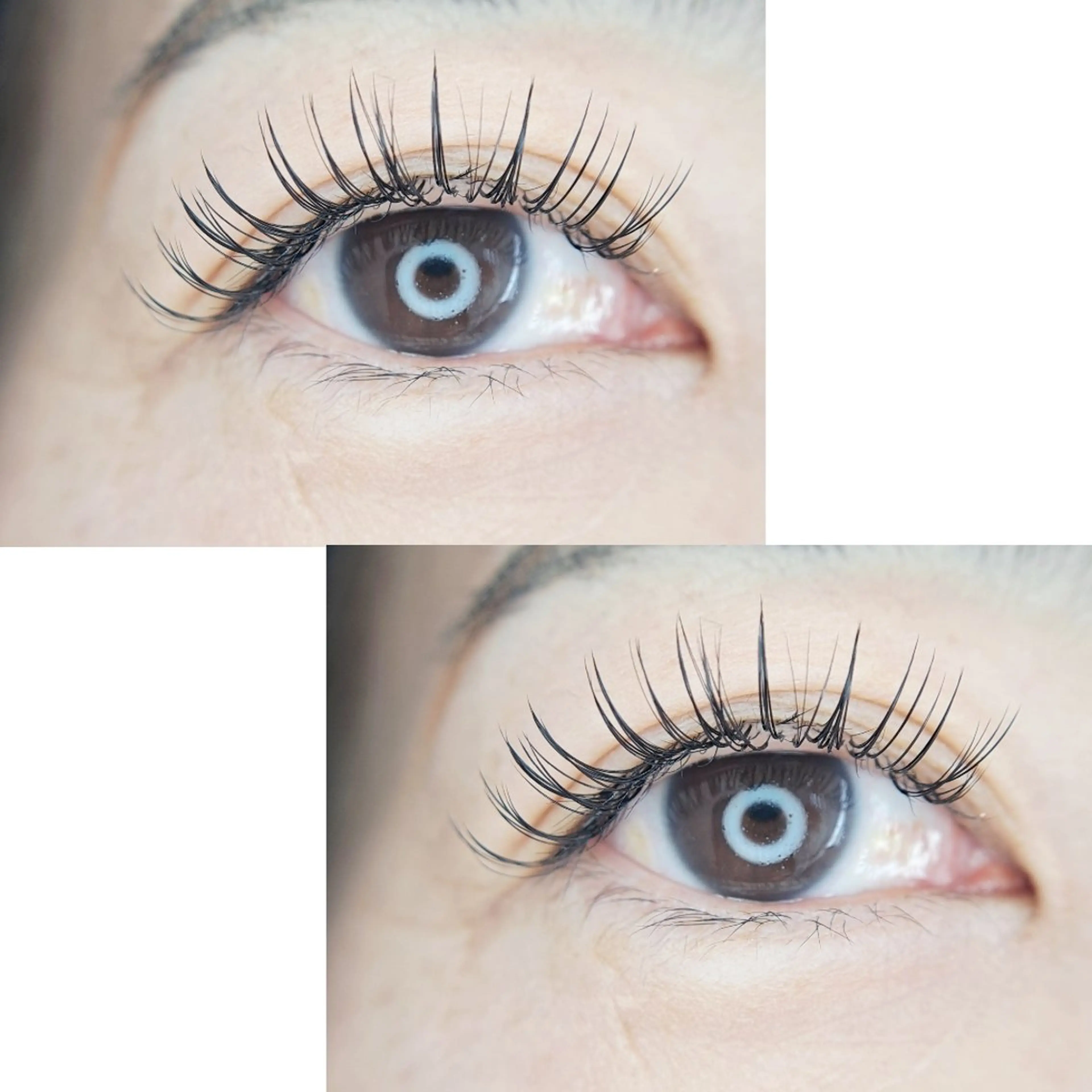 マツエク・マツパ 中島 舞のマツエク・マツパデザイン