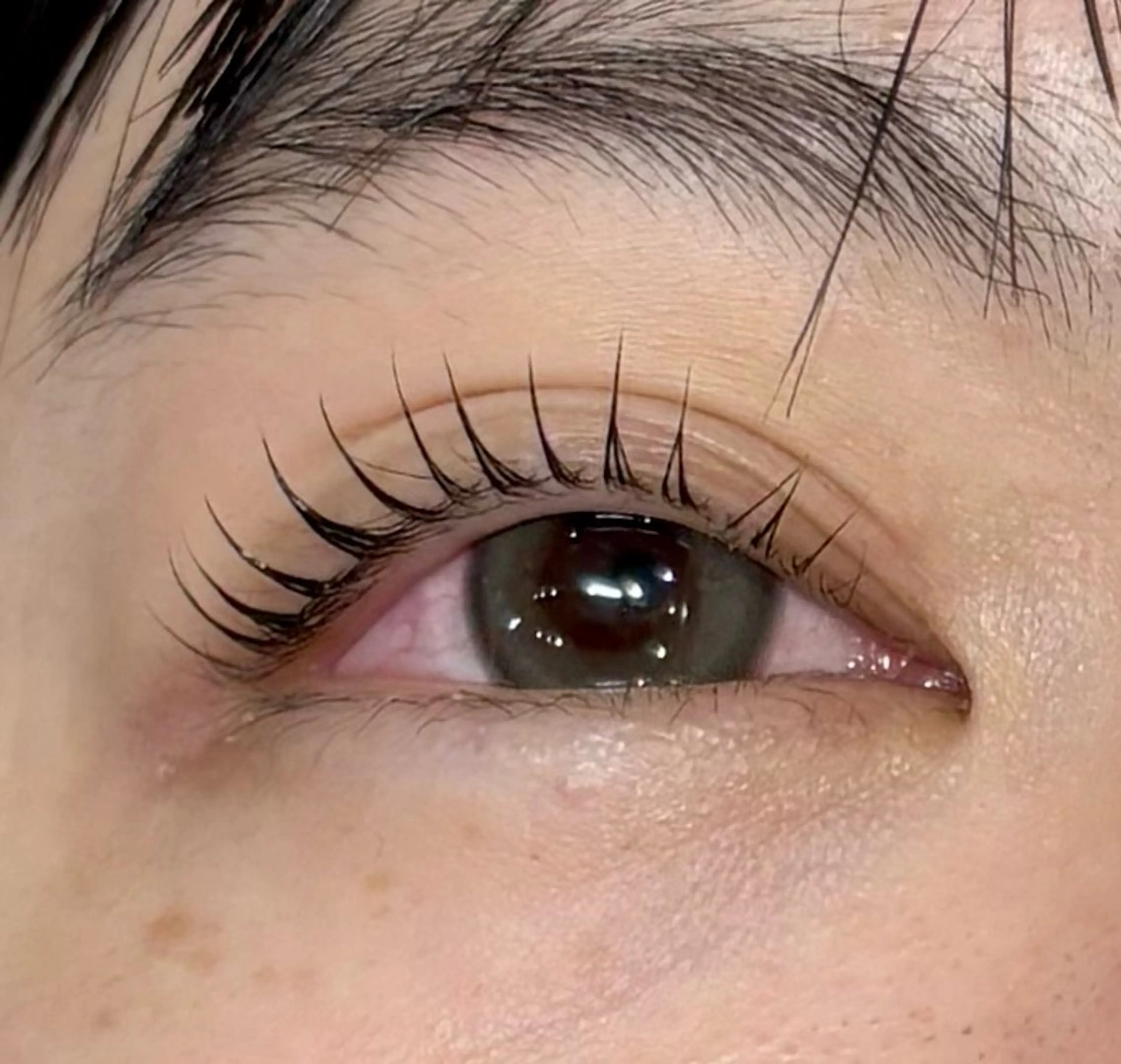 マツエク・マツパ エクラート 渡邉のマツエク・マツパデザイン