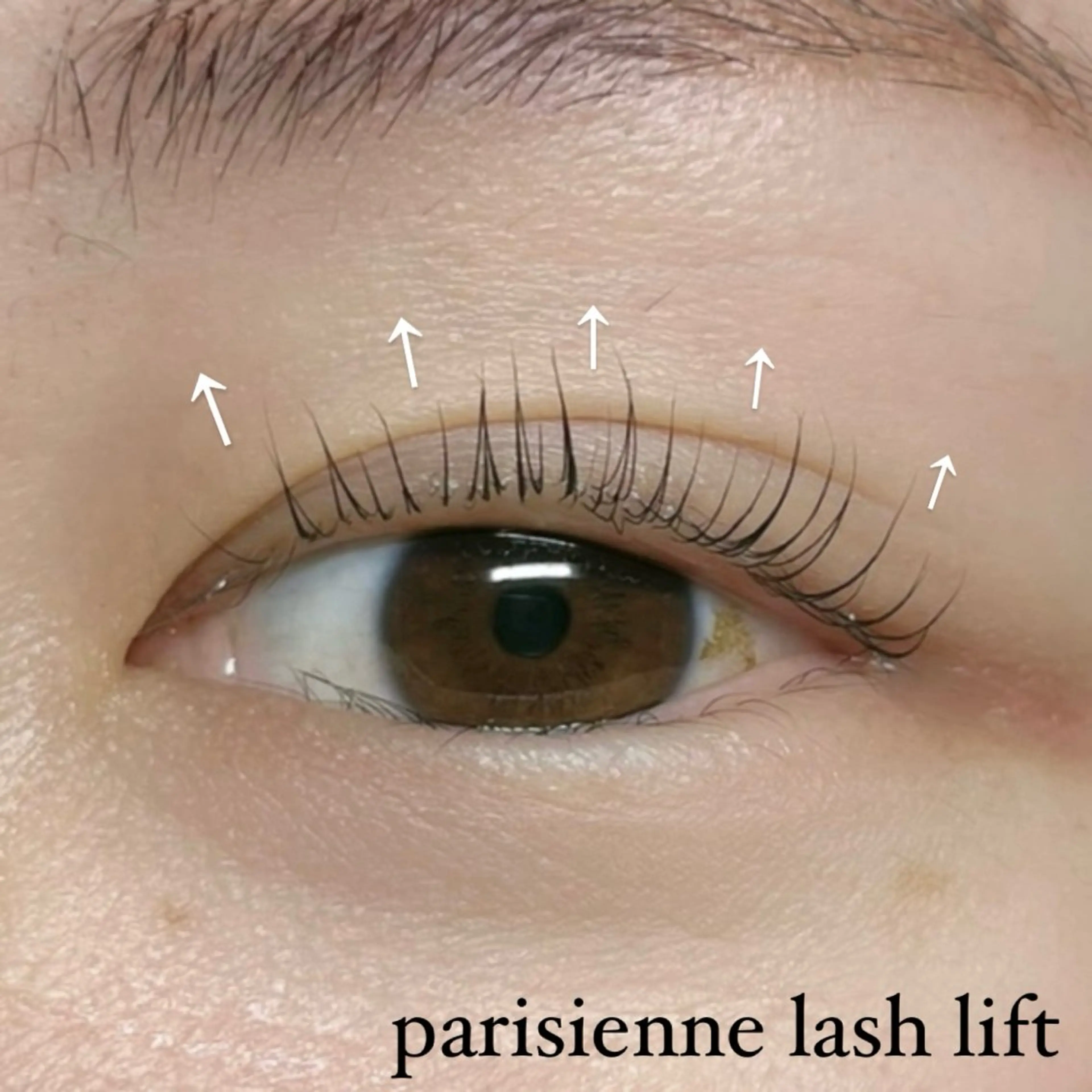 マツエク・マツパ マツパ Veil ayakaのマツエク・マツパデザイン