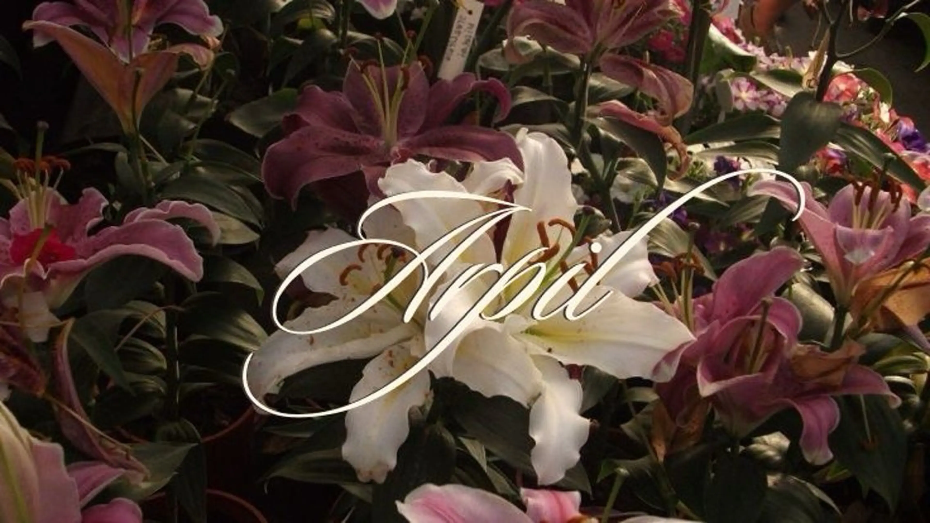 ネイル ハンドネイル フットネイル 栗田 ゆう子のネイルデザイン