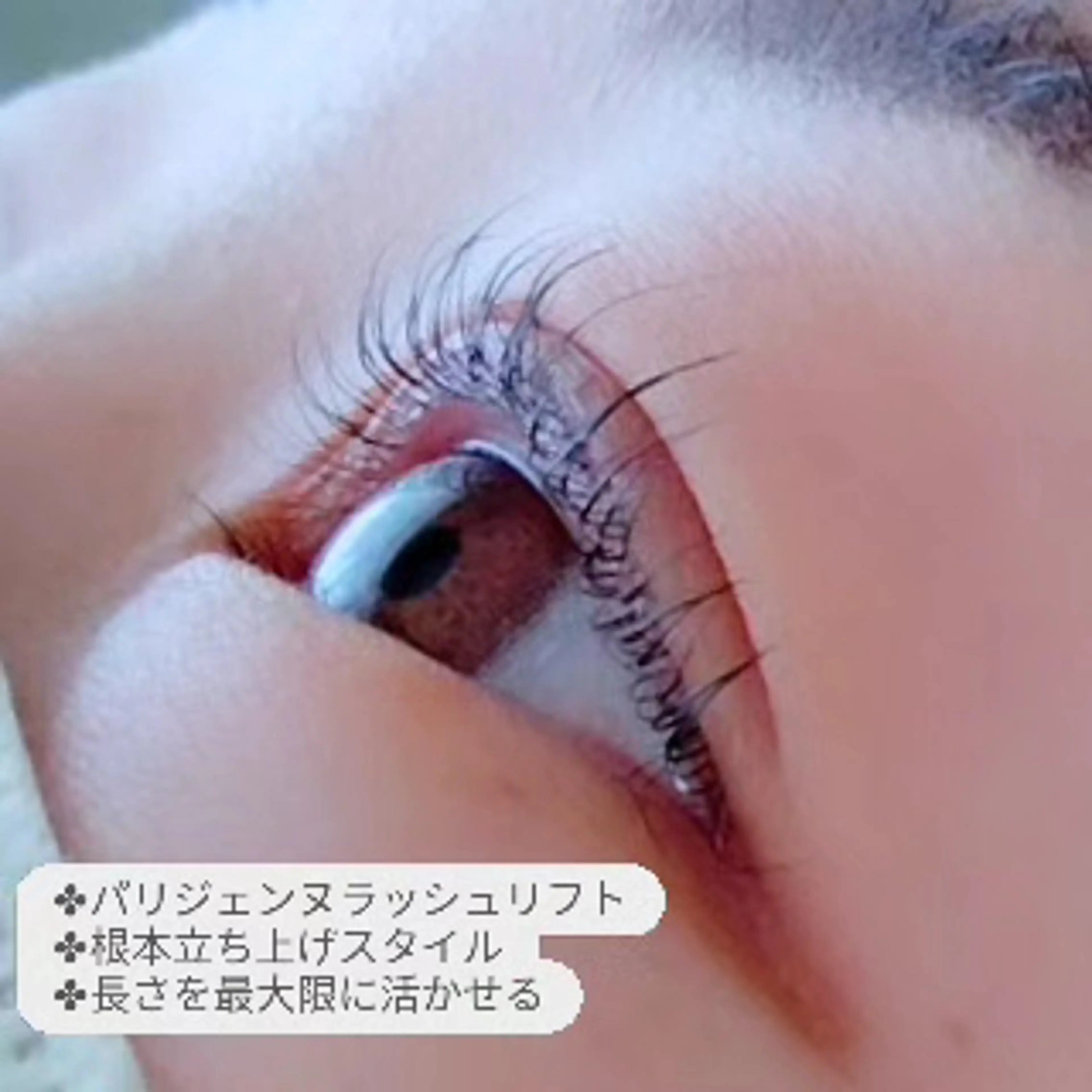 マツエク・マツパ eyelash mamaniのマツエク・マツパデザイン