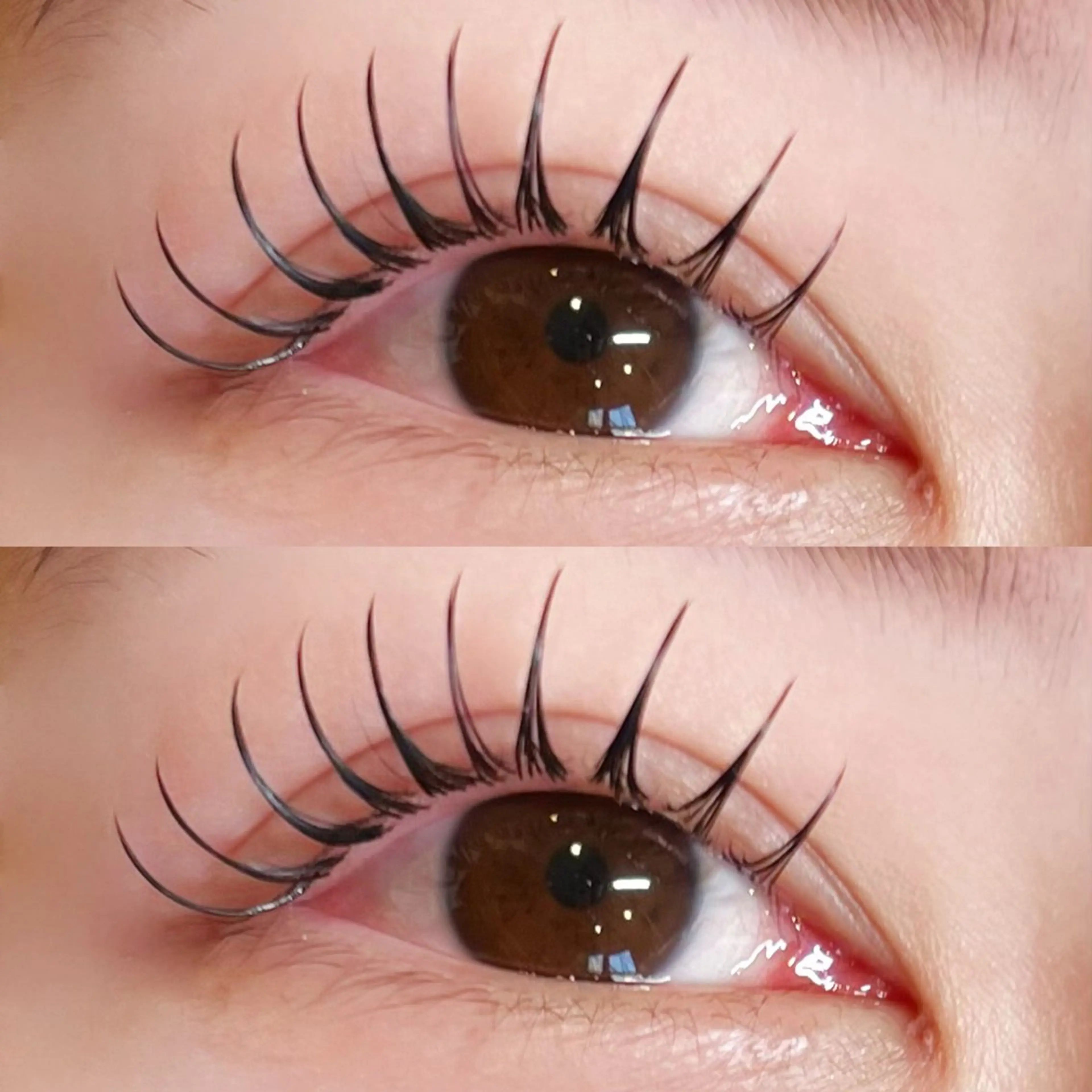 マツエク・マツパ 〰️sofa🪧 Kiguchiのマツエク・マツパデザイン