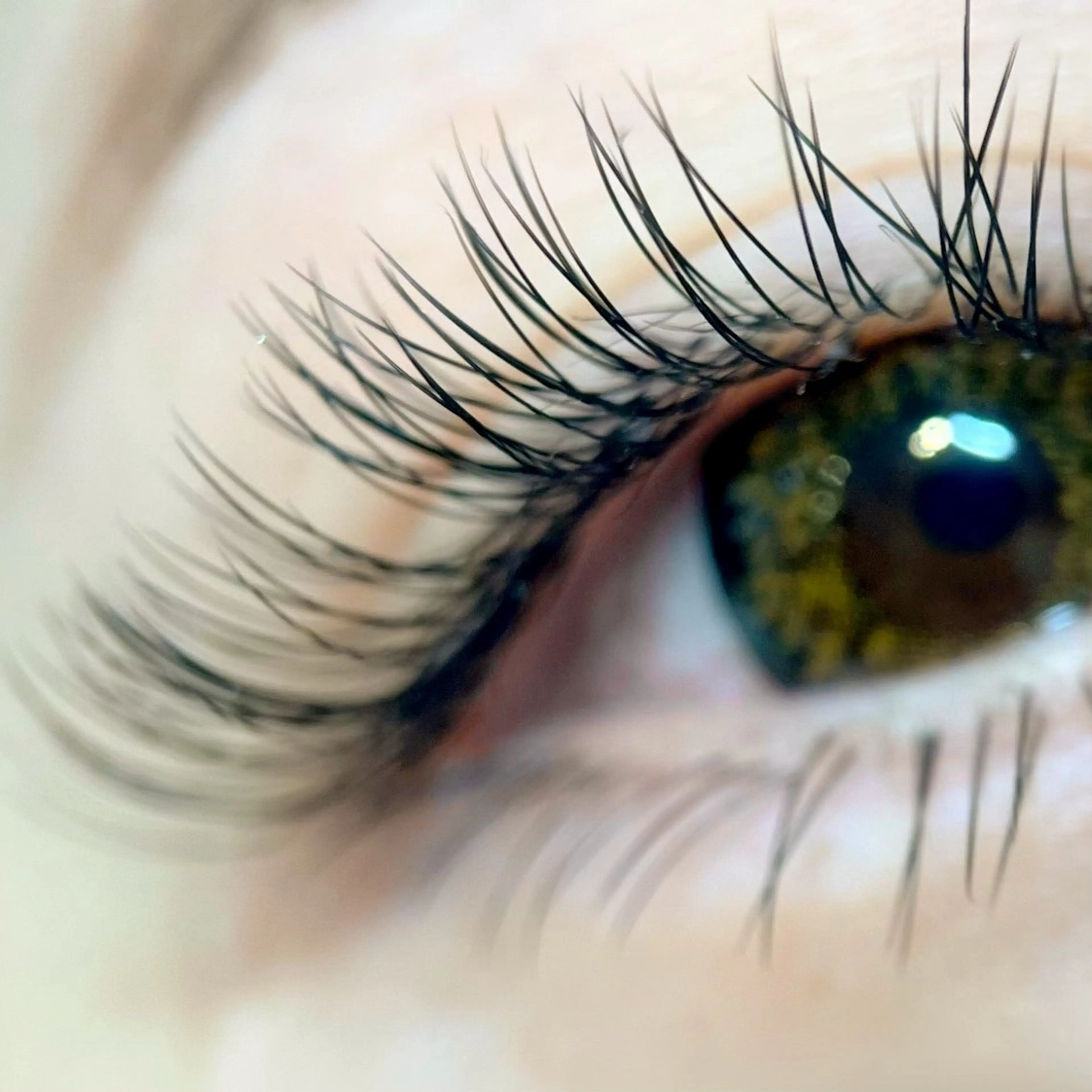 マツエク付け足しにおすすめ👍フラットラッシュ60本オフ込み➰80本6,150円/100本7,250/120本以上も可の写真