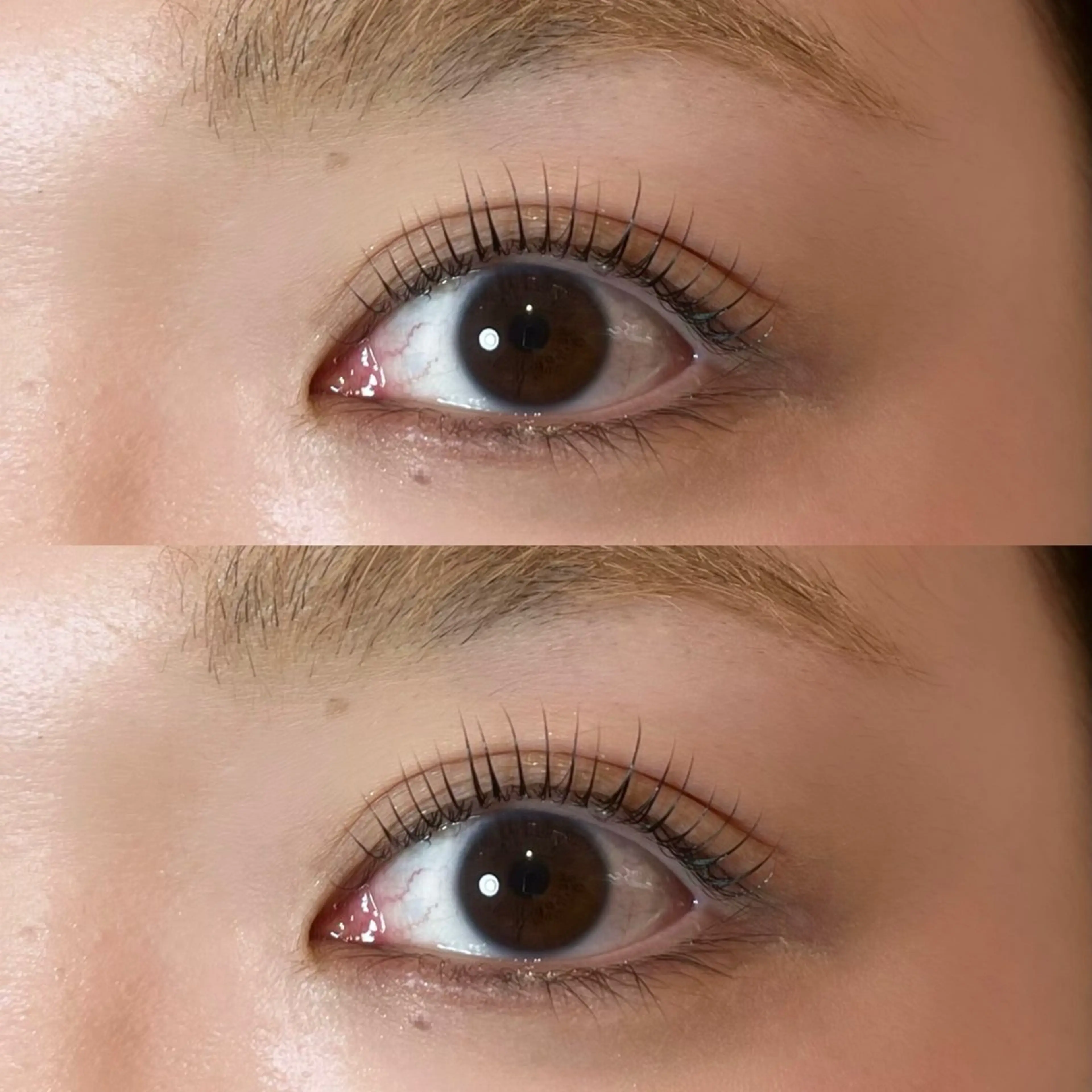 マツエク・マツパ 𝒆𝒊𝒈𝒉𝒕 杏花のマツエク・マツパデザイン