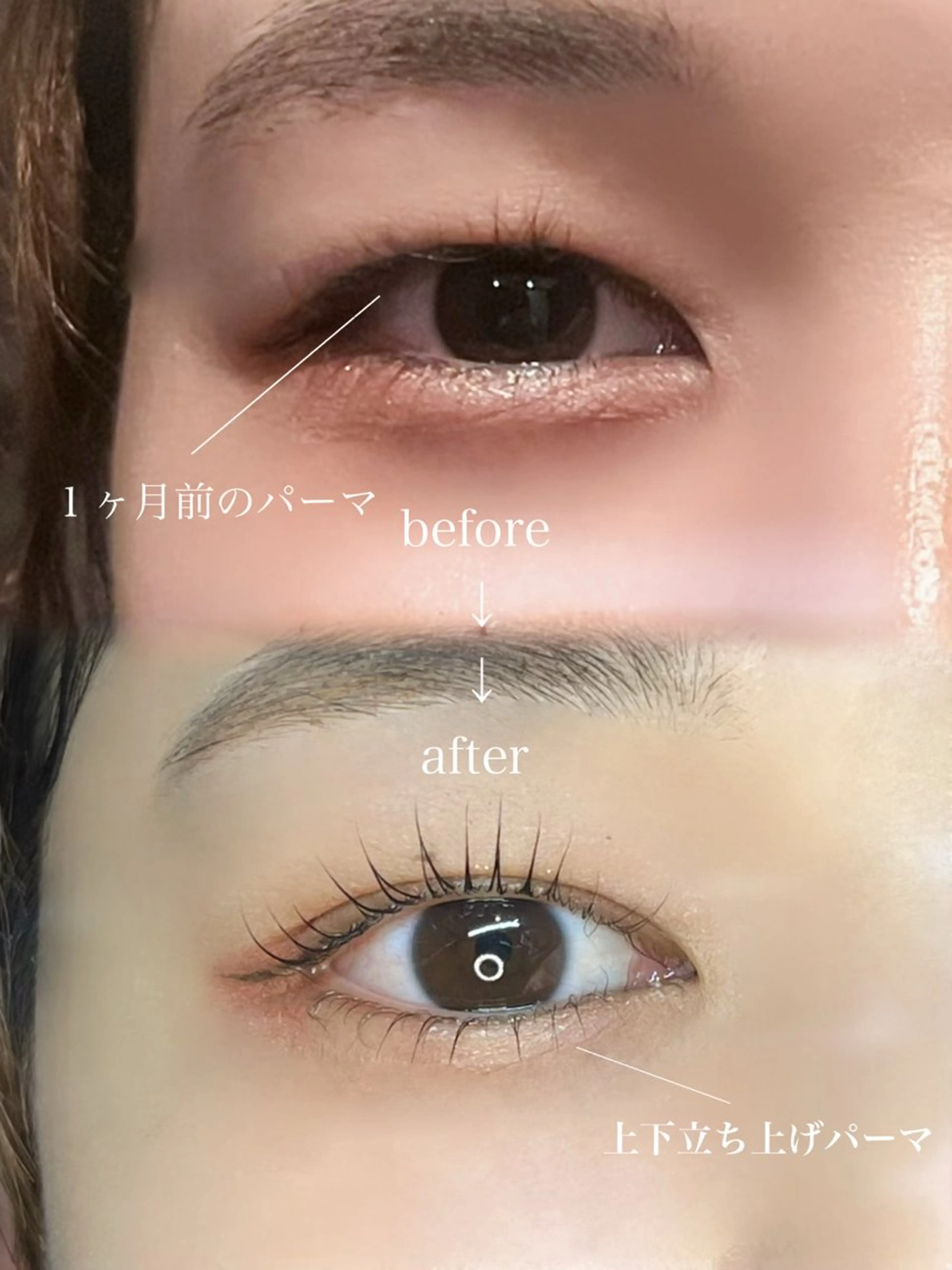 マツエク・マツパ 🌼似合わせのプロ 心斎橋/rena🌼のマツエク・マツパデザイン