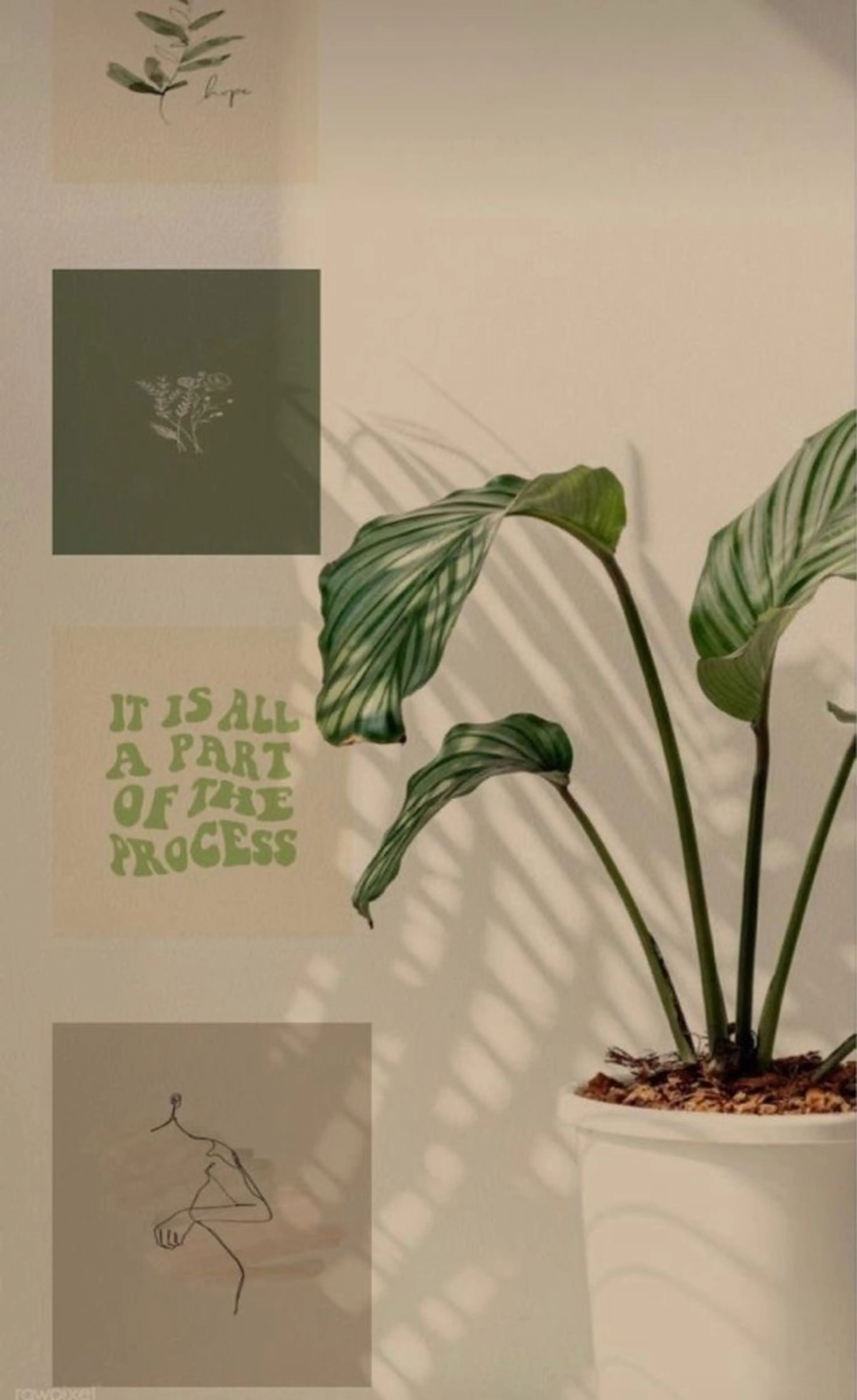 ∴Sanae. ∴ トータルビューティーのマツエク・マツパデザイン