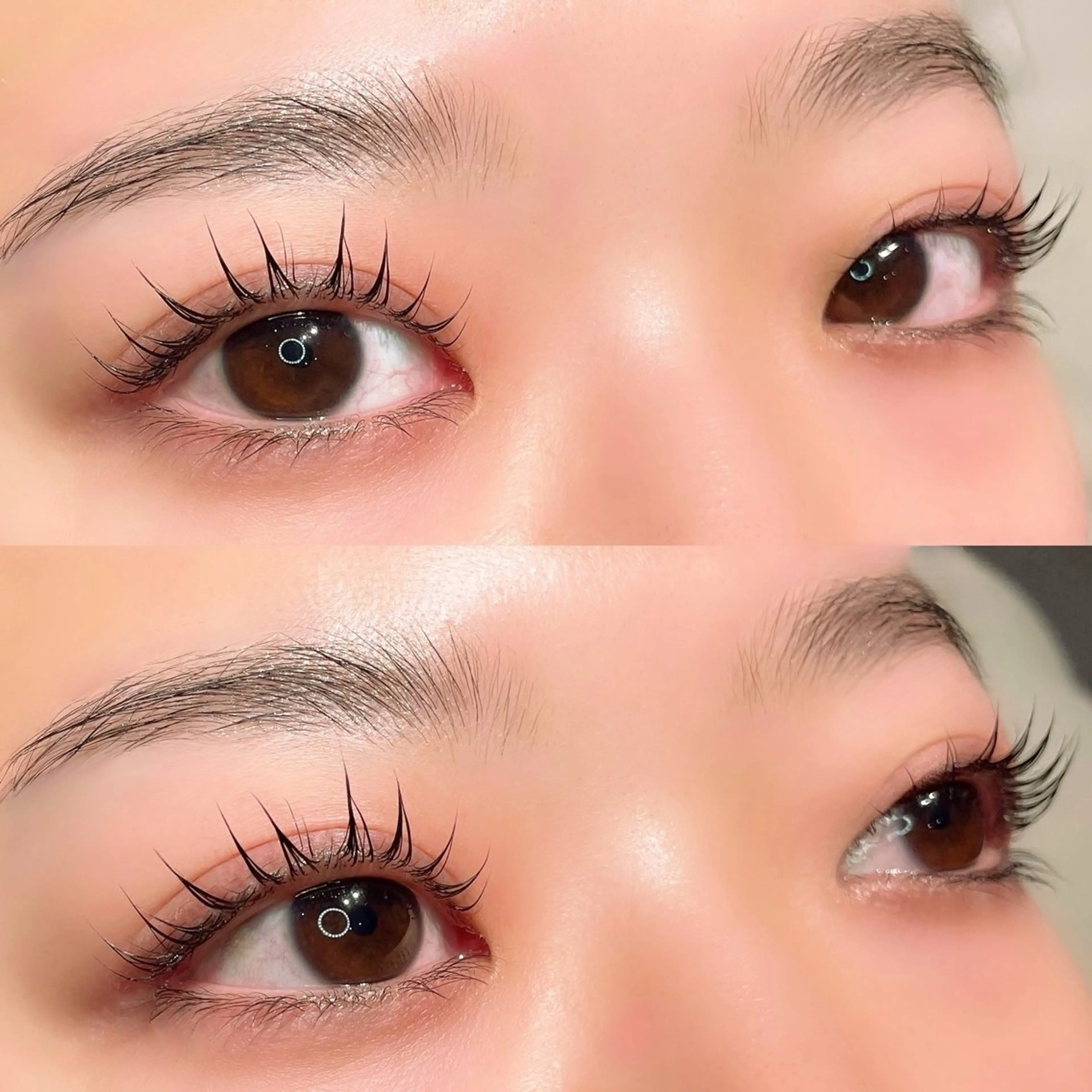 半額❣️パリジェンヌラッシュリフト (コーティング剤付き)🦋𓂃 𓈒𓏸◌の写真