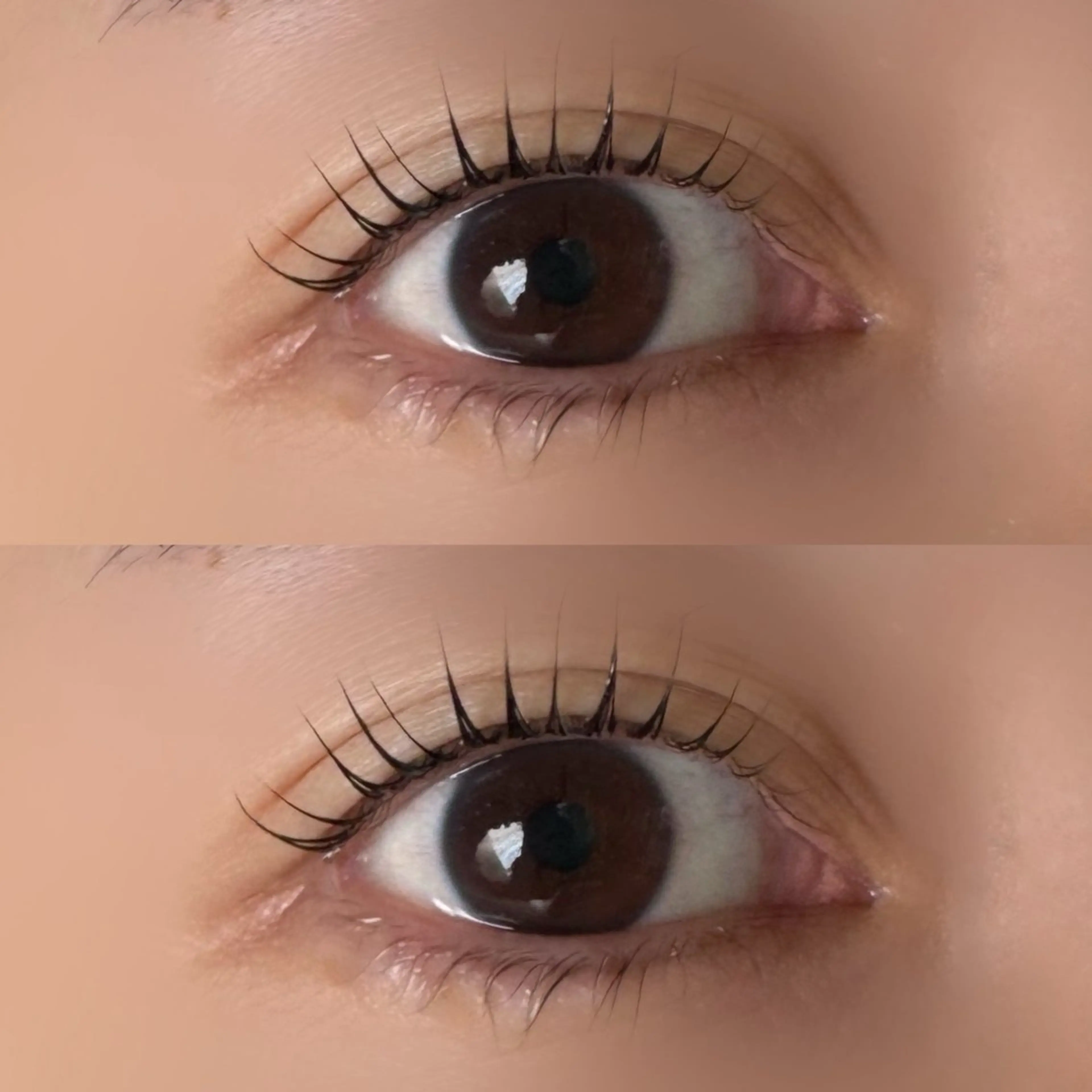 マツエク・マツパ マツパ SUILU eyelashのマツエク・マツパデザイン