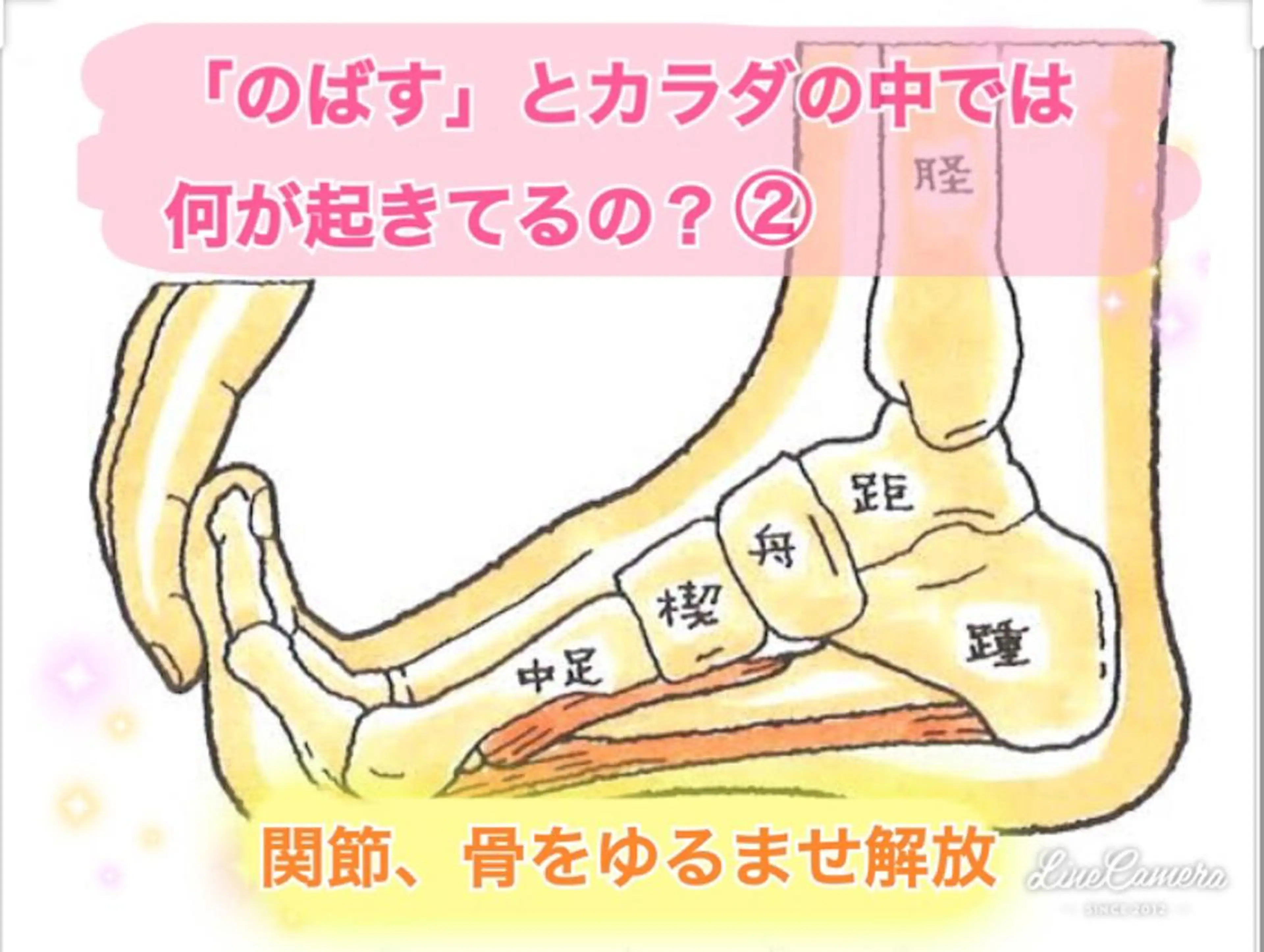 ショート カラー パーマ ヘアアレンジ メンズ キッズ ネイル マツエク・マツパ ‍痩身＆ボディ 結果出し🌟丹野のエステ・リラクイメージ