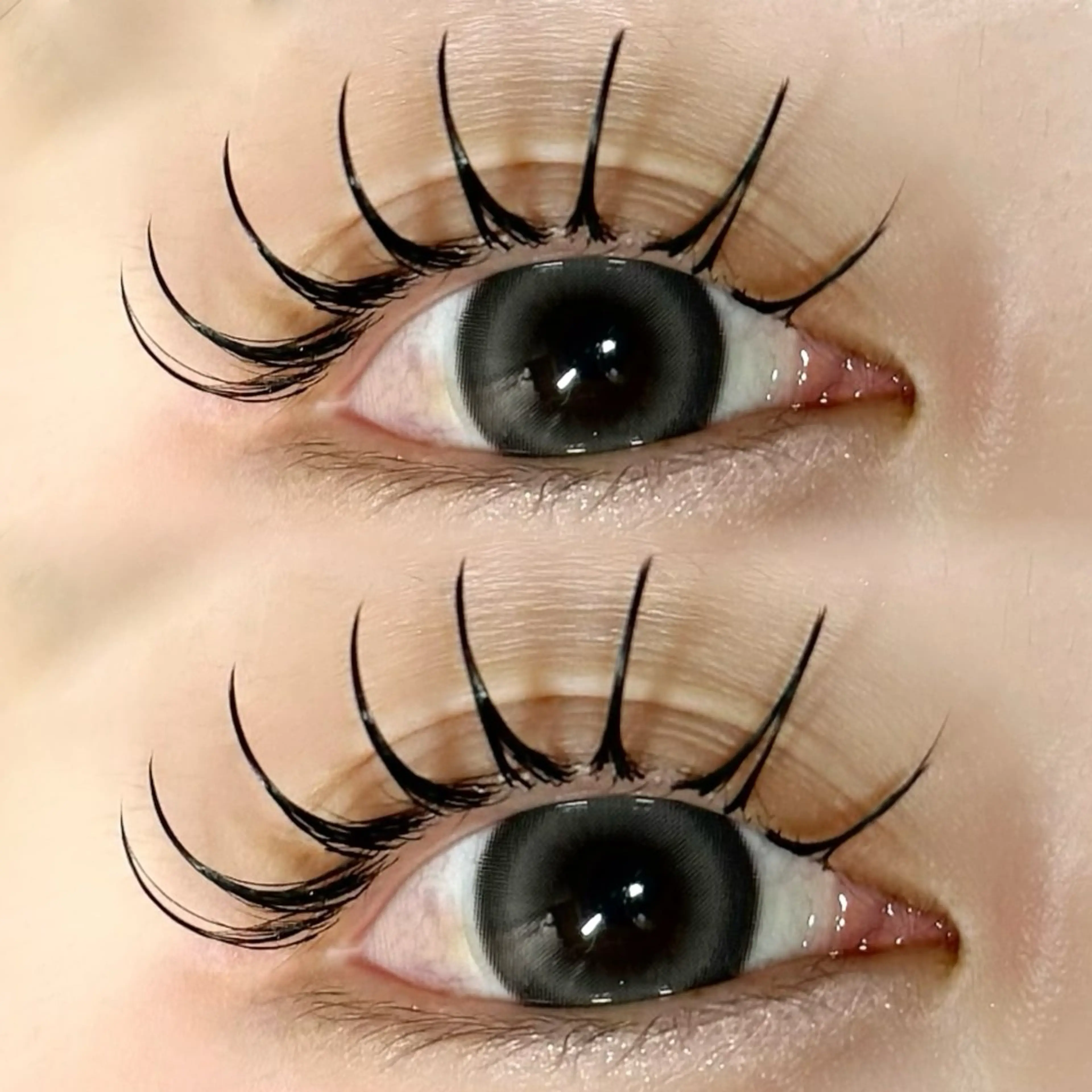 マツエク・マツパ マツエク 🩰yuri🩰 似合わせ/束感のマツエク・マツパデザイン