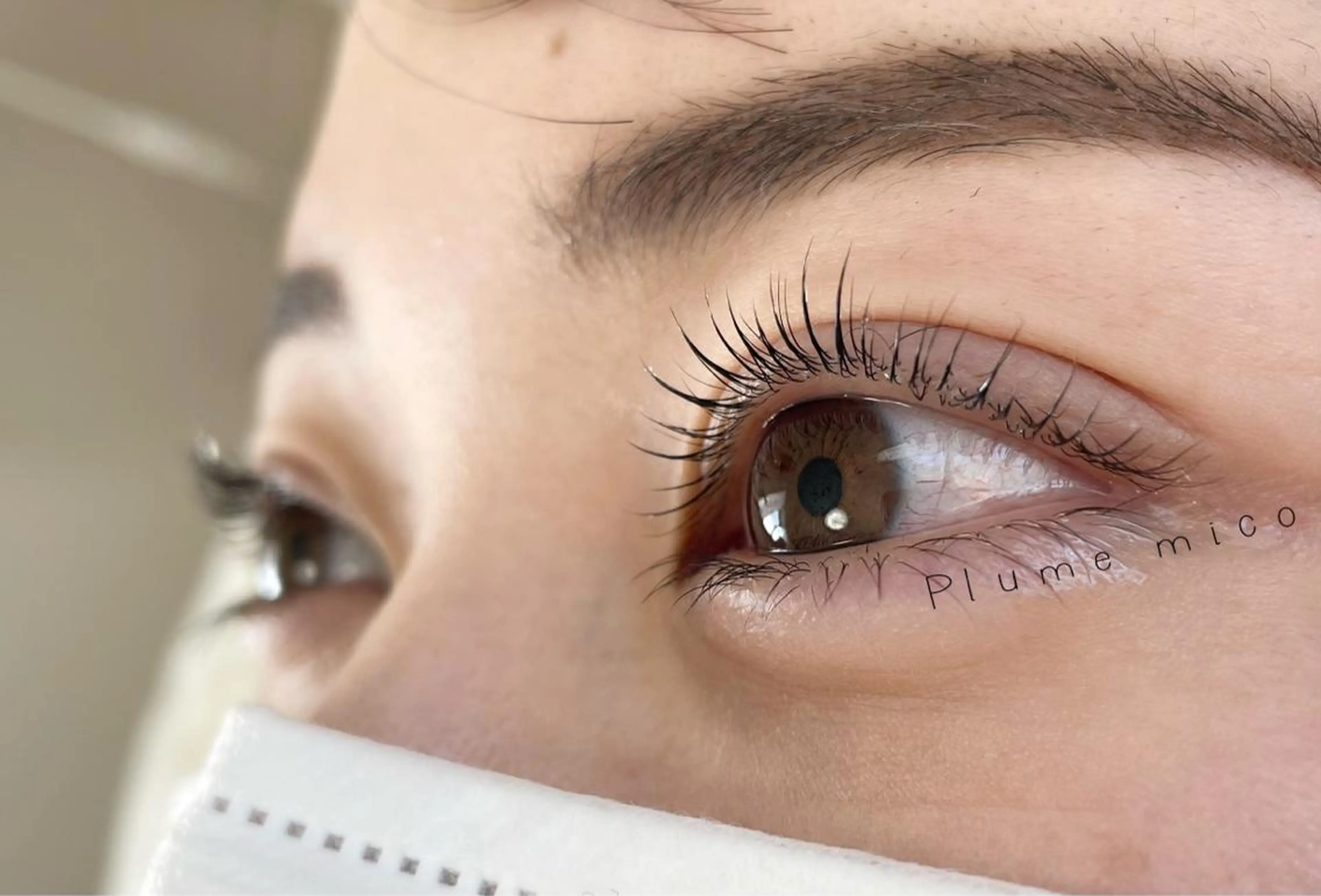 マツエク・マツパ マツパ Plume micoのマツエク・マツパデザイン