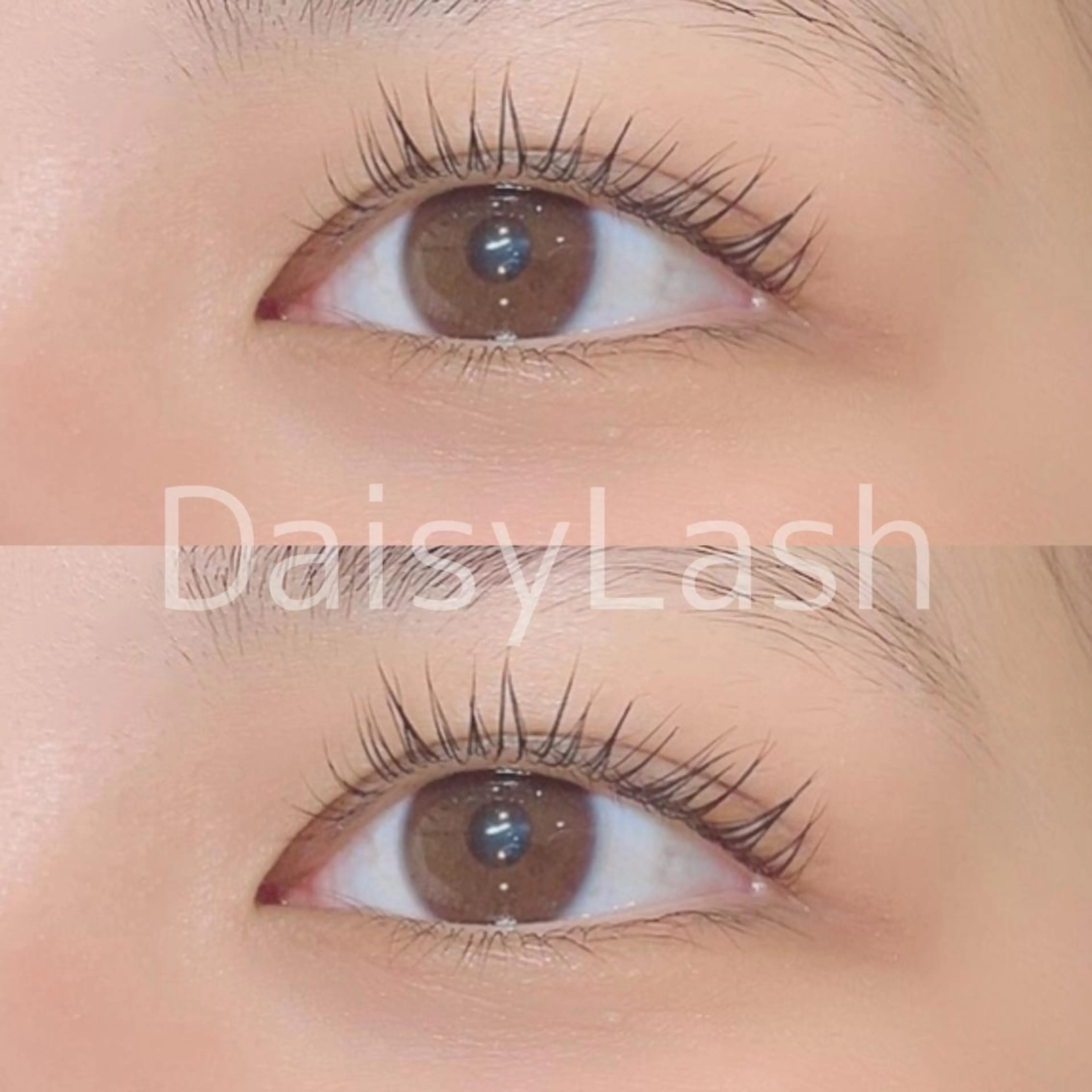 マツエク・マツパ DaisyLash 京橋店のマツエク・マツパデザイン