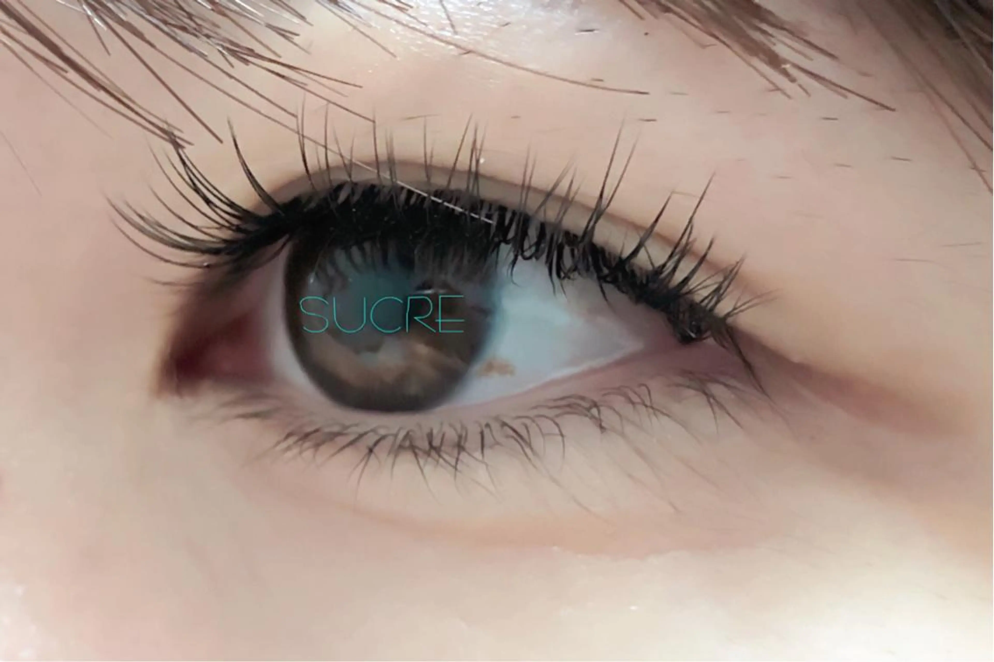 マツエク・マツパ Dカール Liz.&現ino 平田のマツエク・マツパデザイン