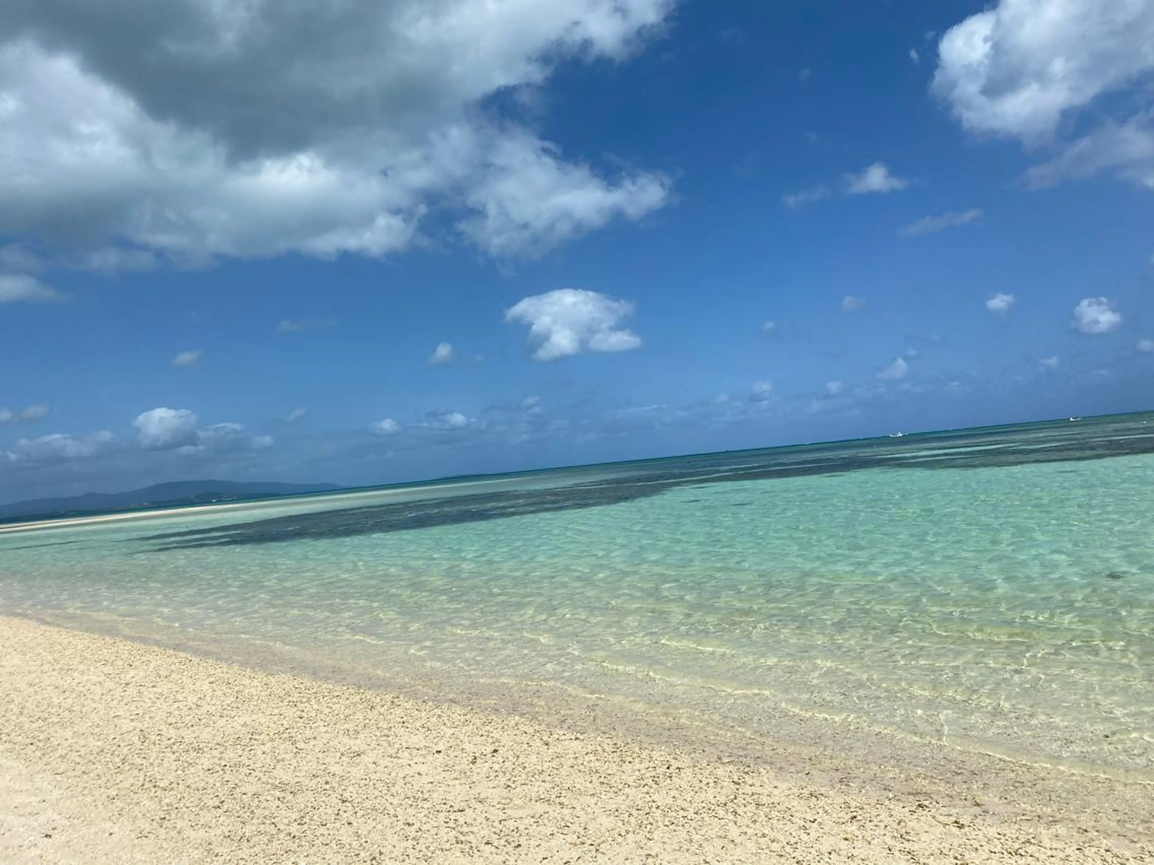 ⛈上下160本❤︎振り分け自由⛈ (付け足し可能)の写真