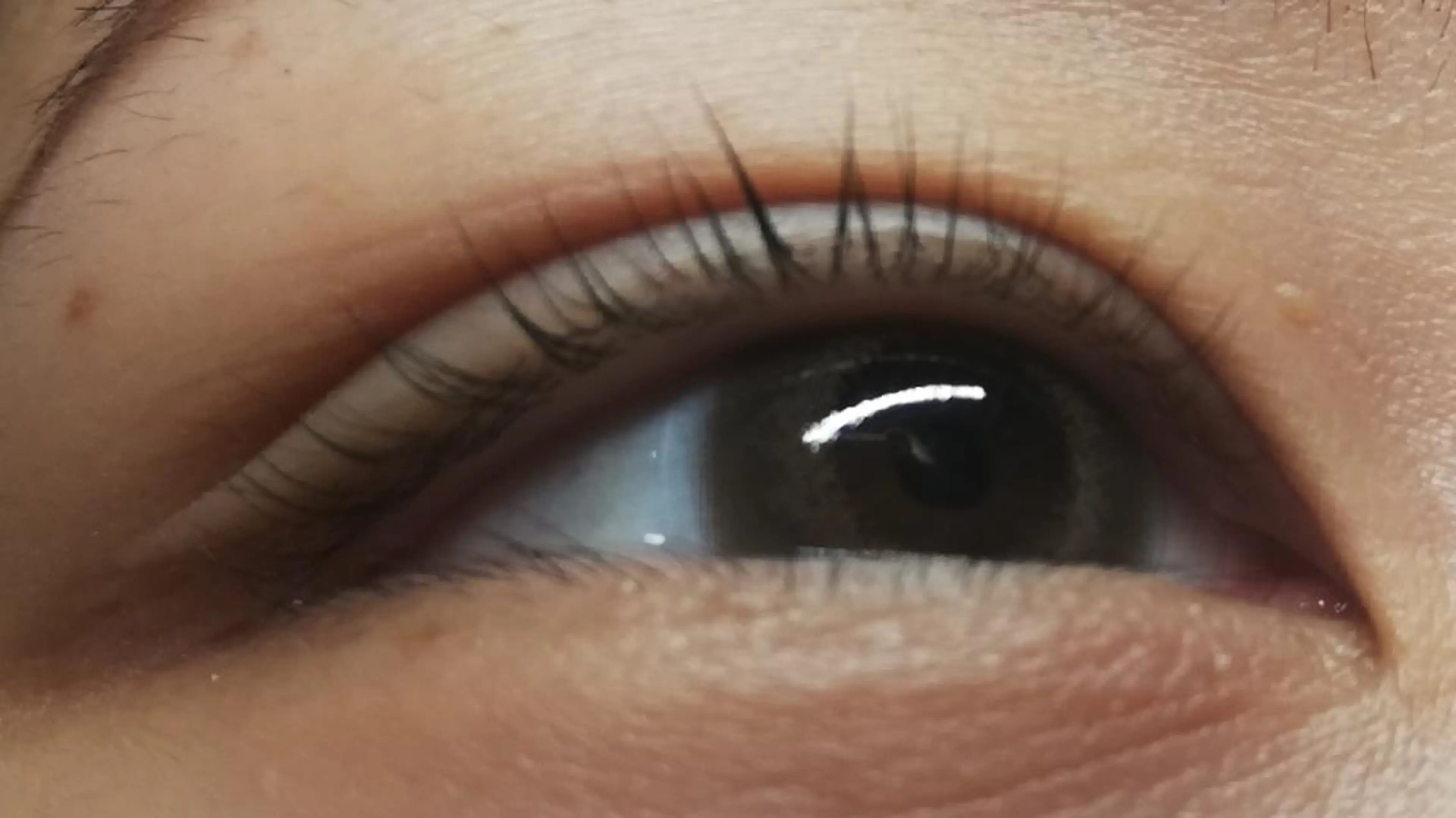 マツエク・マツパ angelux 所属・完全個室サロン🌹 angelux🌹のマツエク・マツパデザイン