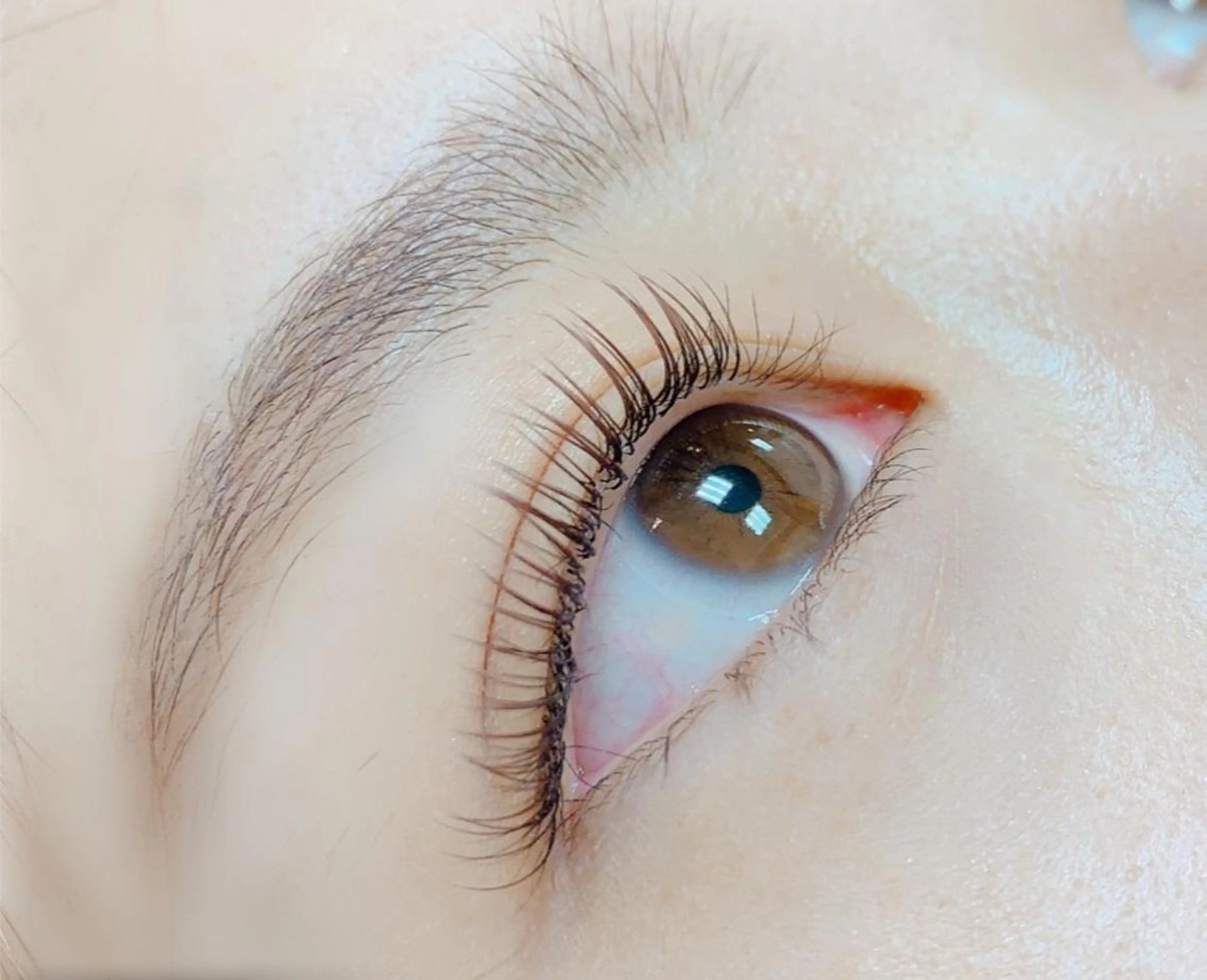 ✩ フラットマットセーブル 100本 ✩(リピーター様&土日祝+500円)の写真