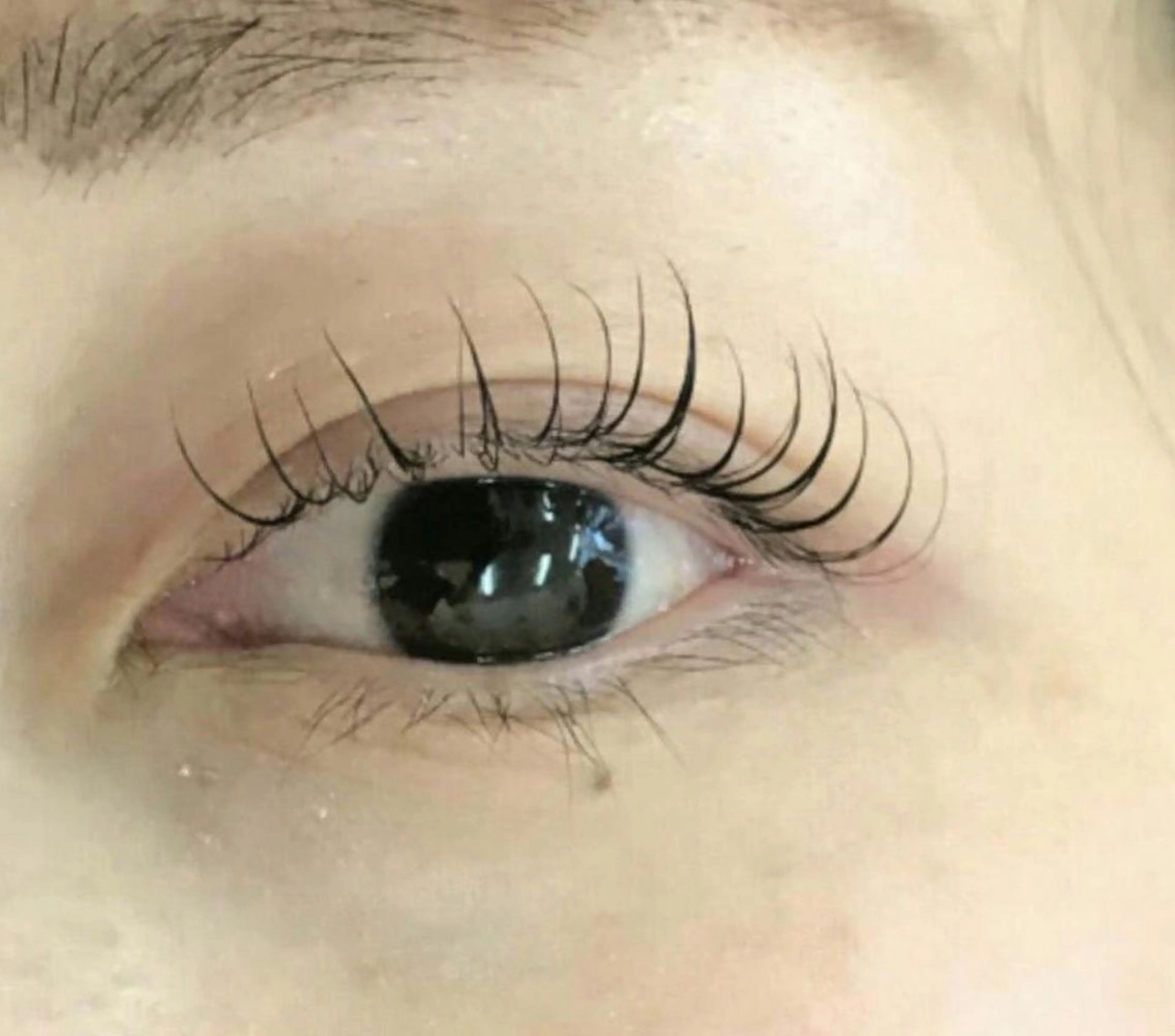 マツエク・マツパ Cil  Belle 城川の眉毛・アイブロウイメージ