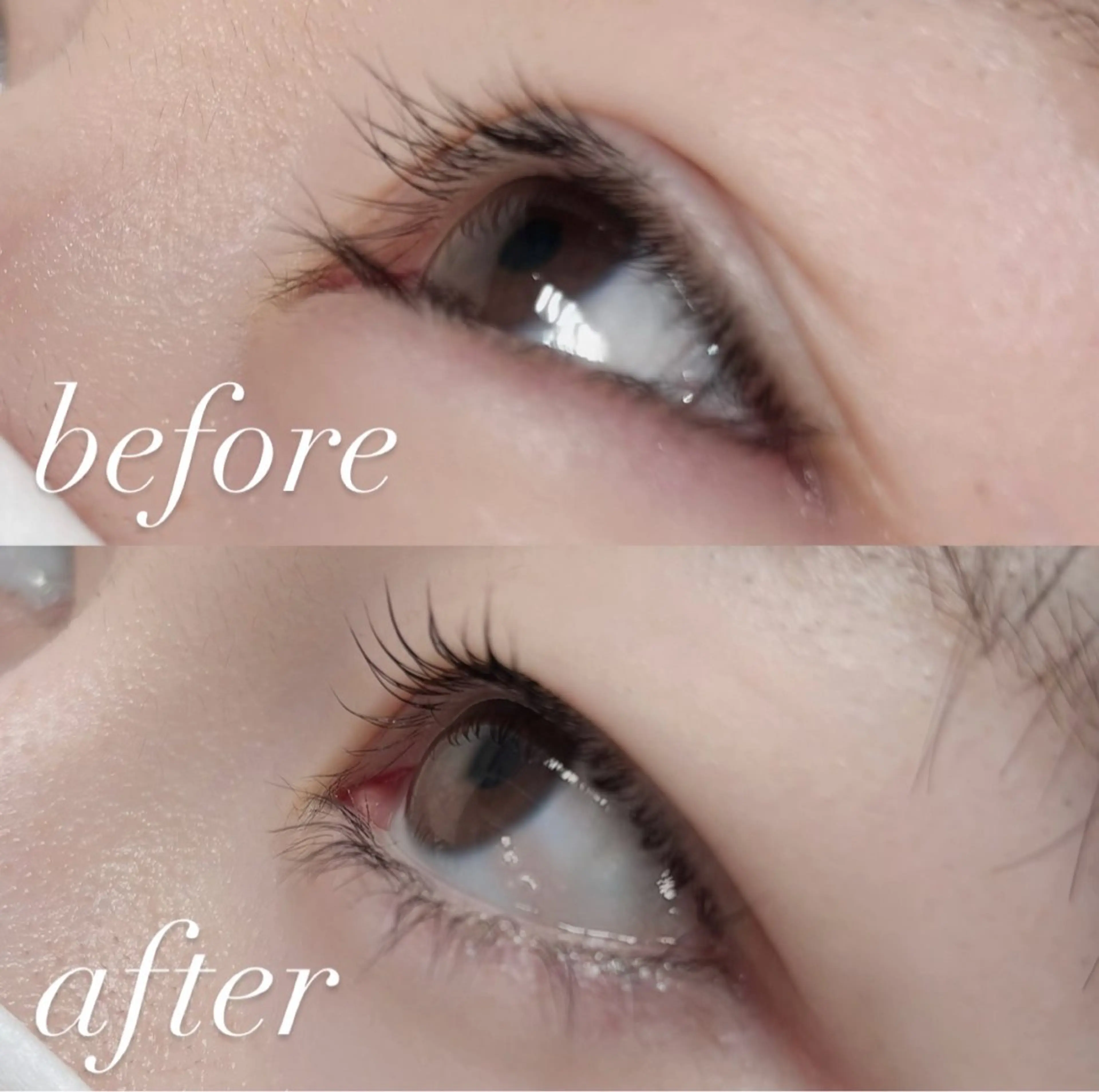 マツエク・マツパ マツパ 🏵️tico@ Risa🏵️のエステ・リラクイメージ