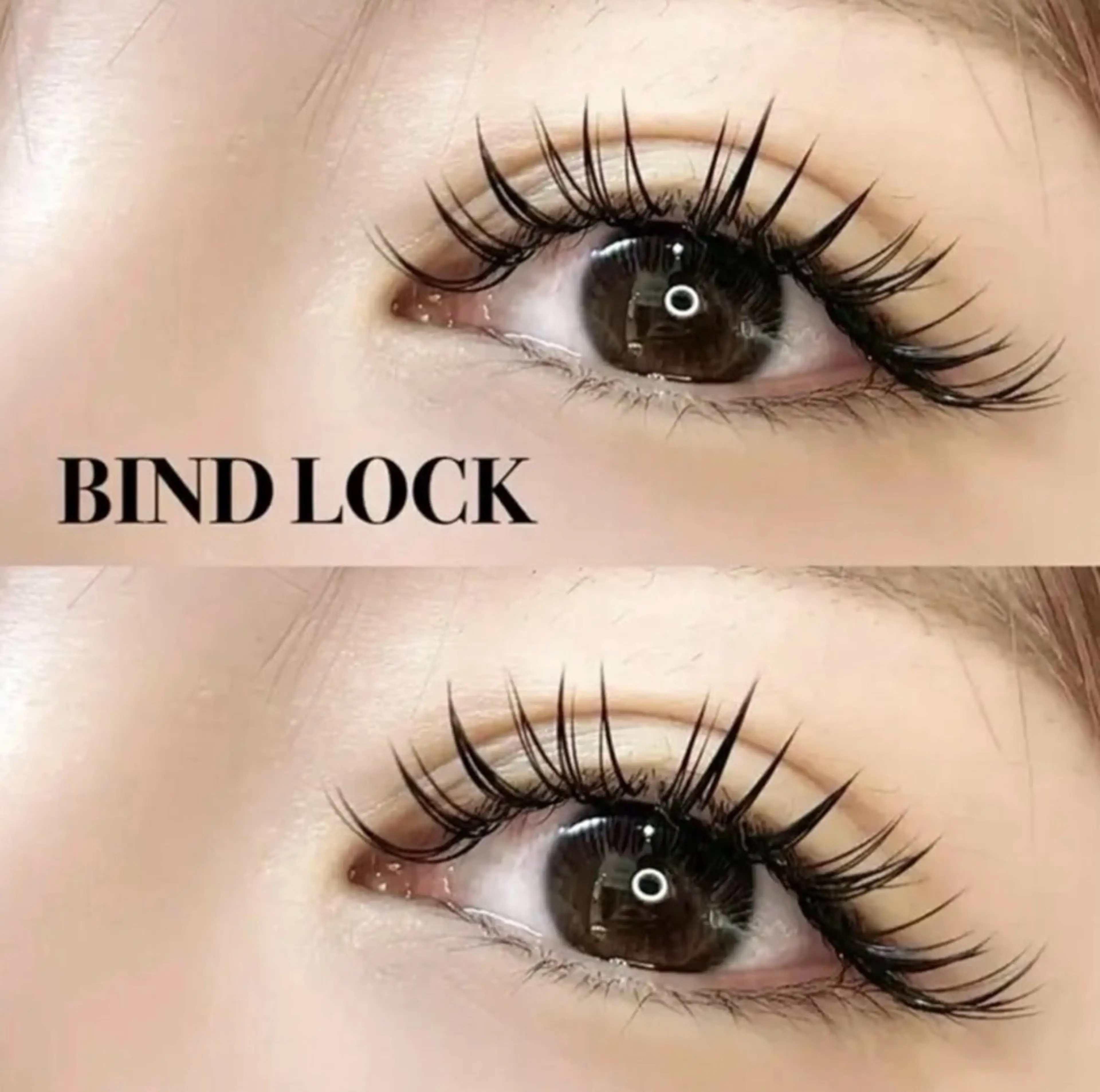 【超持続マツエク】バインドロック40束★付け足し推奨♪¥3980の写真