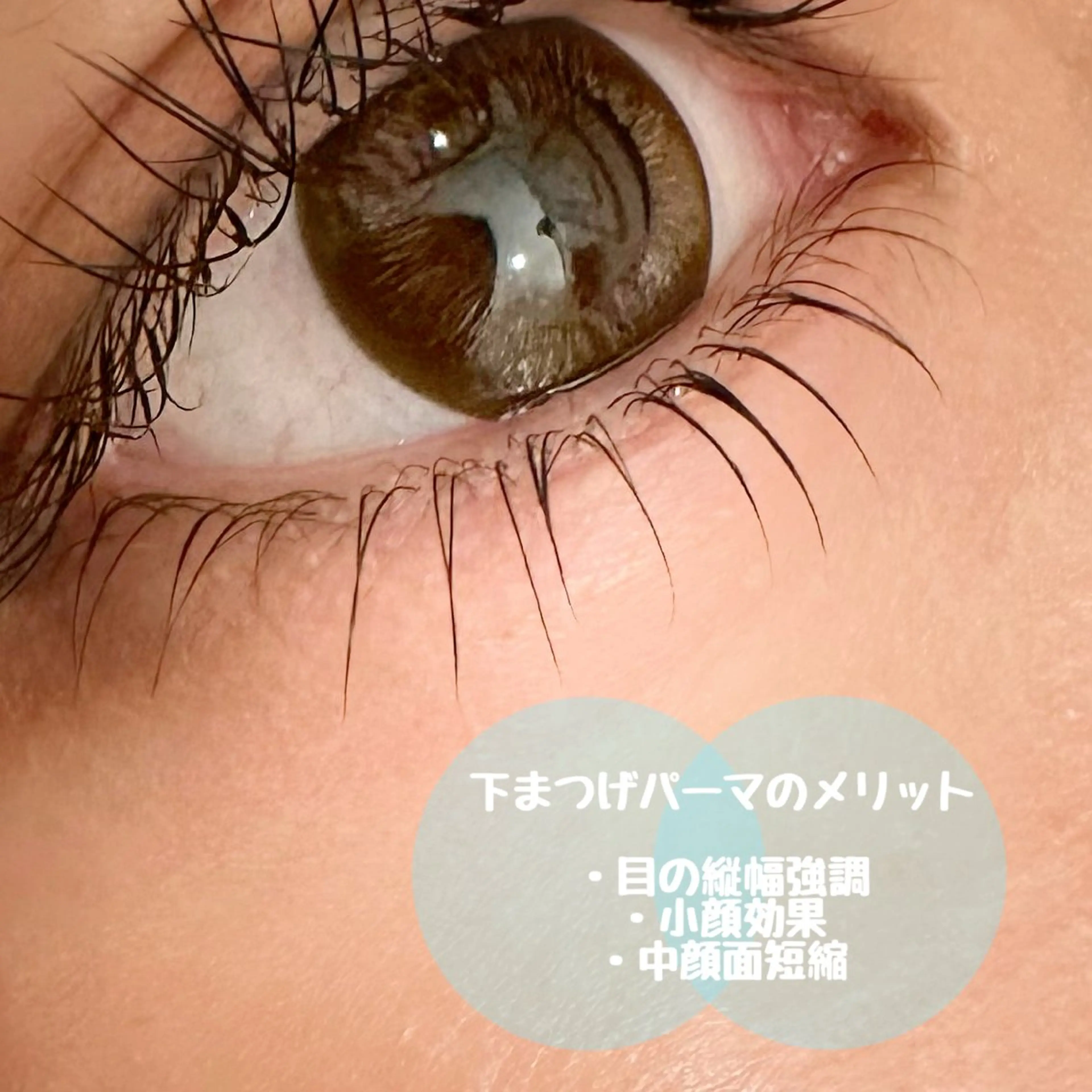 マツエク・マツパ まつげパーマ 下まつげエクステ マツパ Tomo◇ Élanのマツエク・マツパデザイン