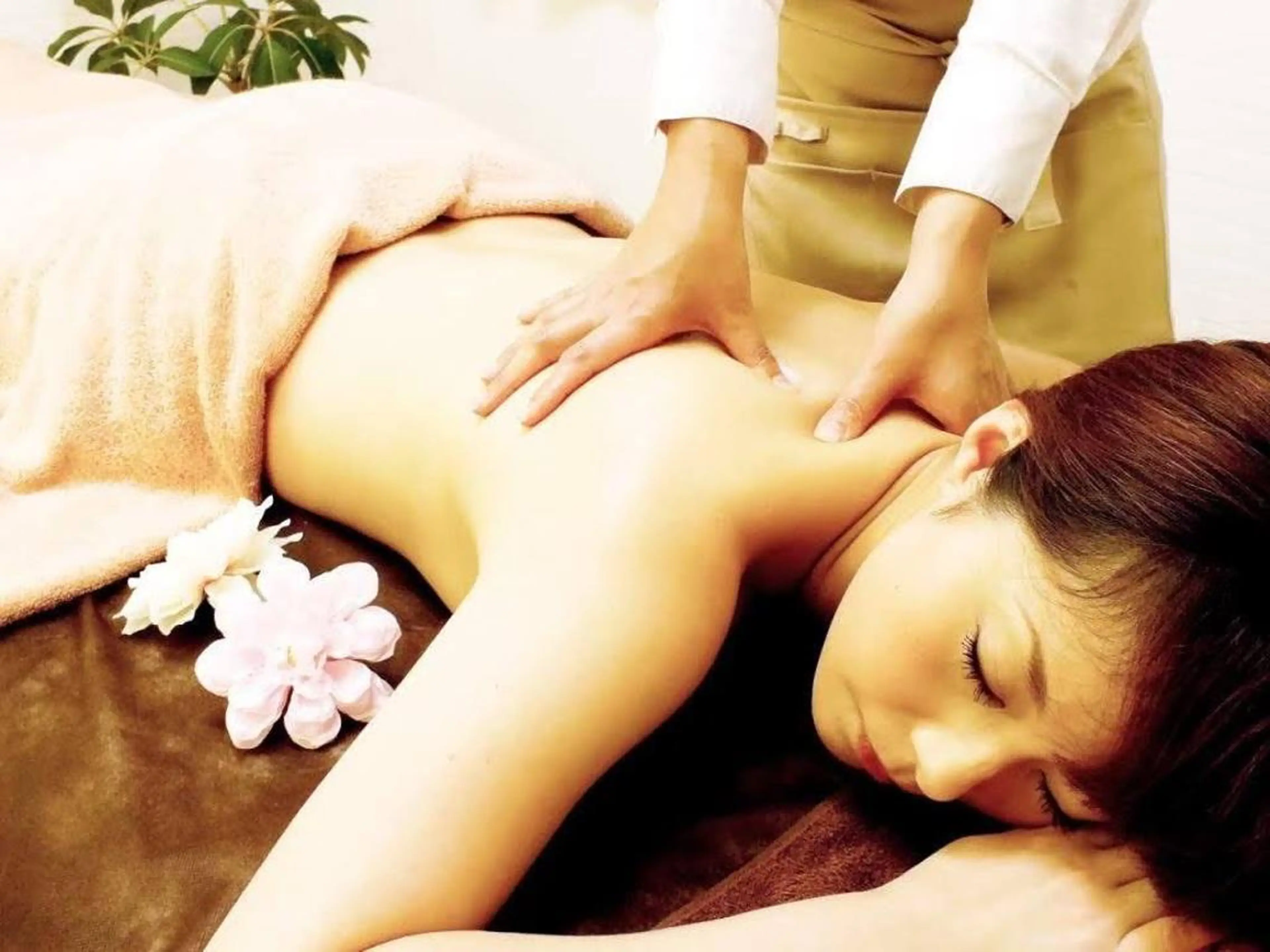 ハーブ🌿ララピール ❣️Luana坂元のエステ・リラクイメージ