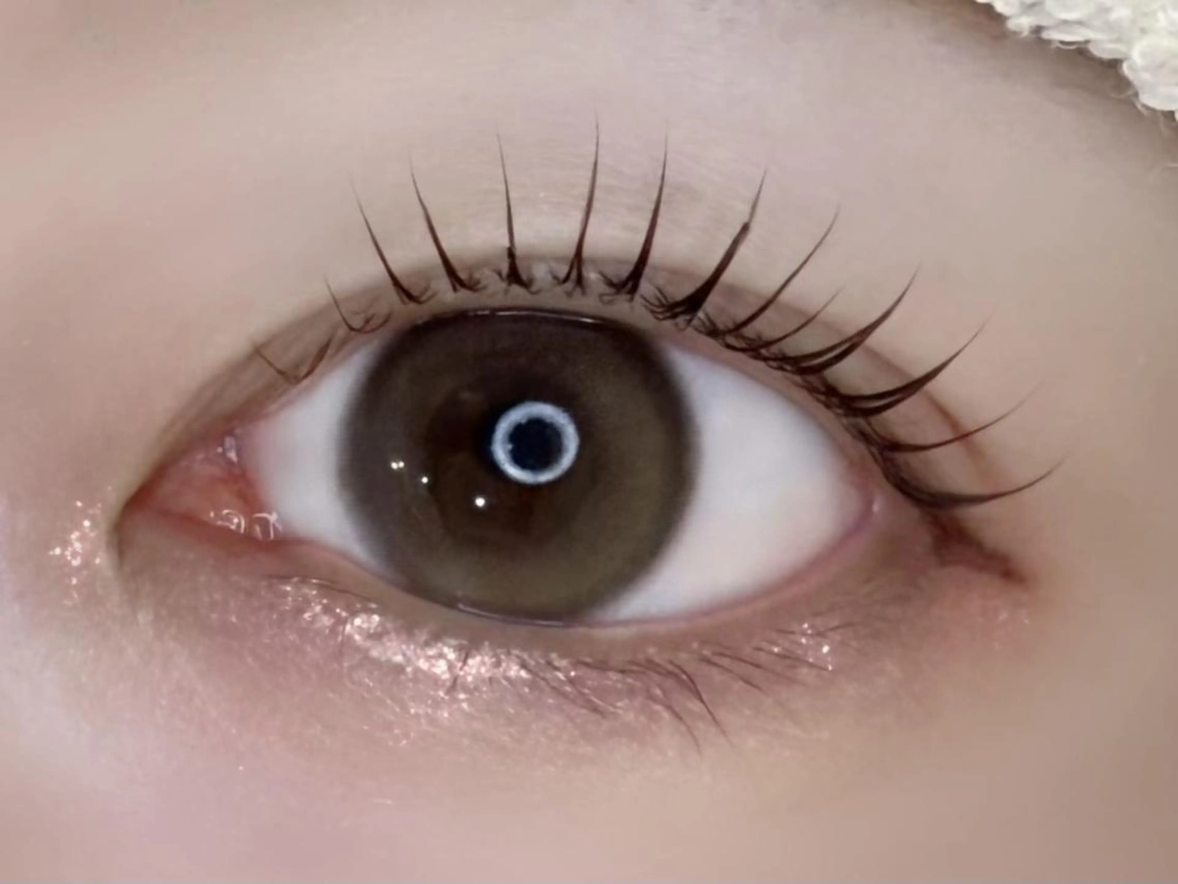 マツエク・マツパ 束感まつ毛 フラットラッシュ 韓国風マツエク まつげパーマ 下まつげエクステ 🌻マツエク/眉毛 yukimi⛄️🖤の眉毛・アイブロウイメージ