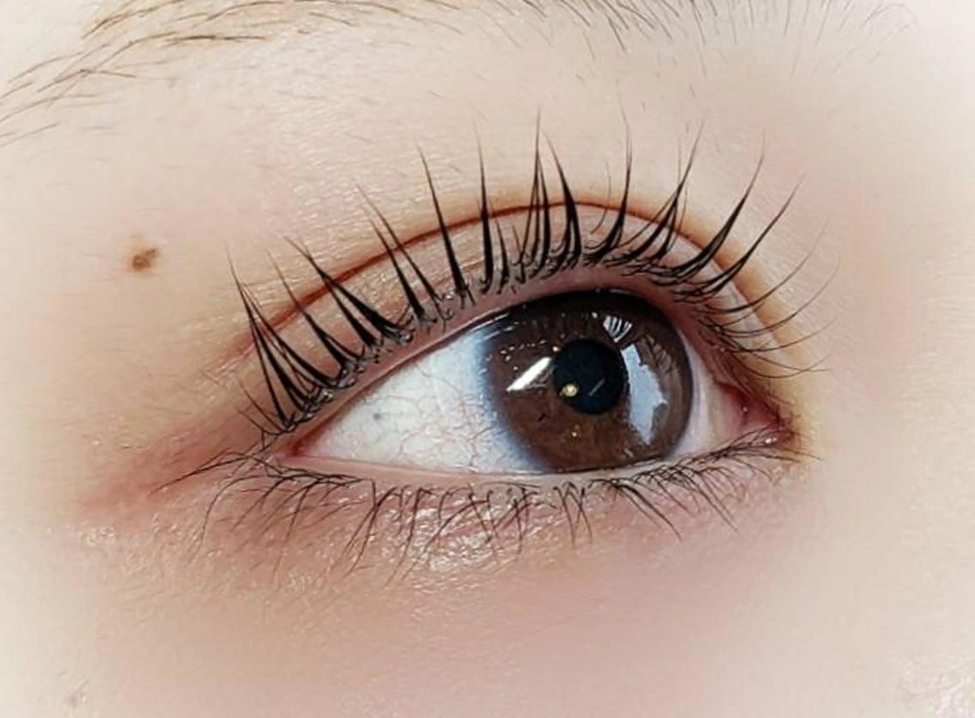 マツエク・マツパ パリジェンヌラッシュリフト Fairytail excellentのマツエク・マツパデザイン