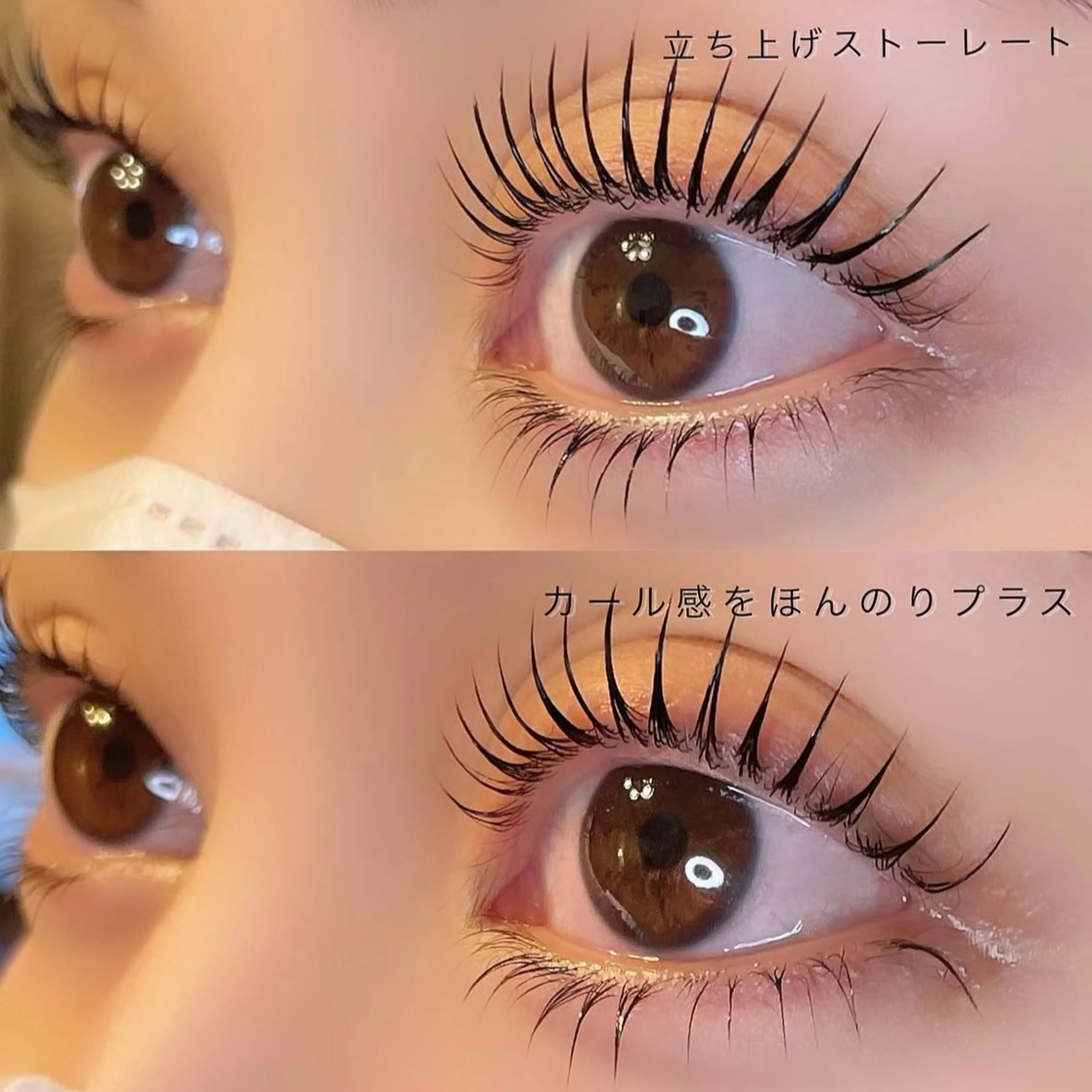 限定🎀メーテルラッシュ♡の写真