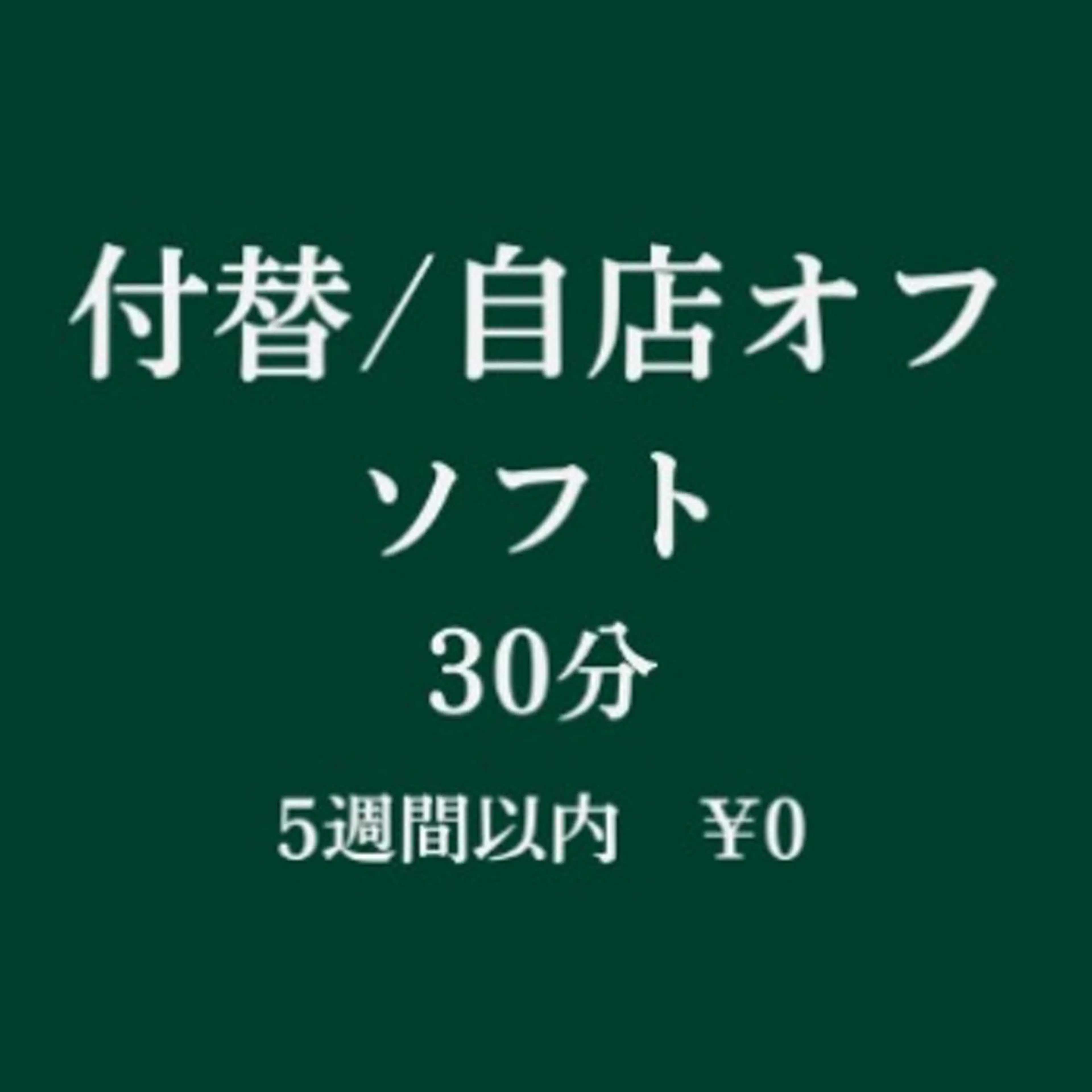 付替え(一般)/自店オフ(ソフト)(30分)の写真