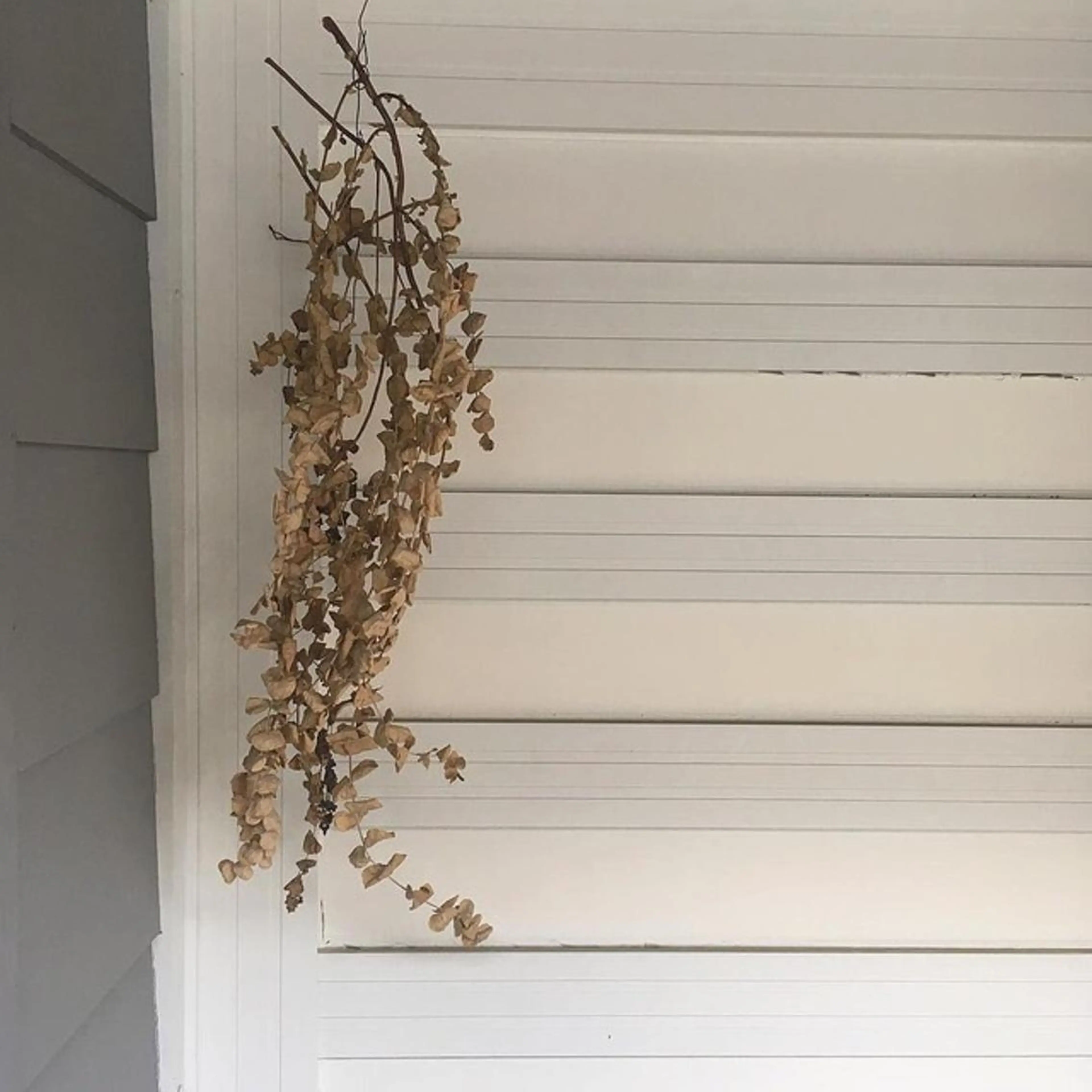 オフのみの写真