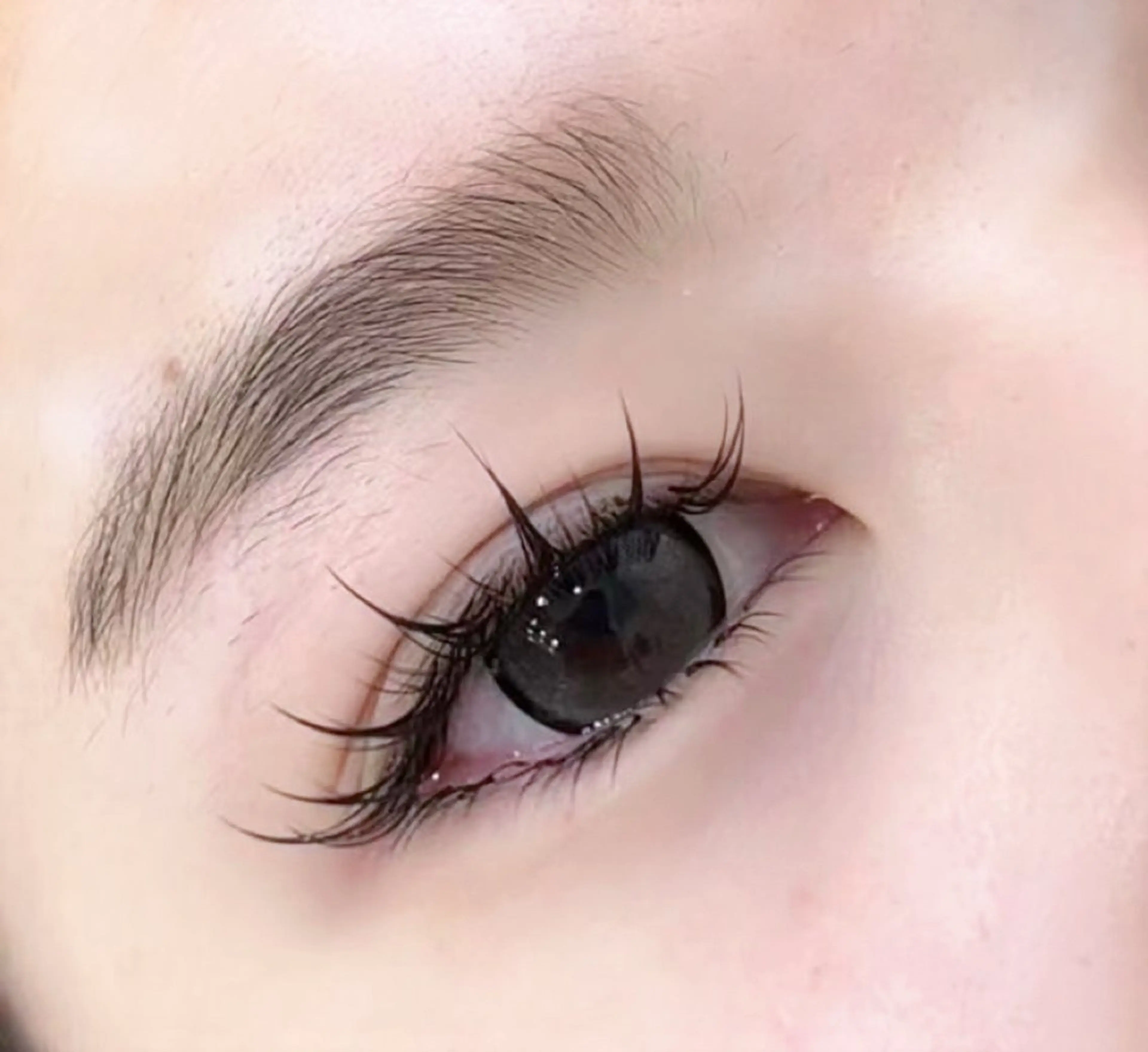 マツエク・マツパ マツエク Arana池袋 Ayumi🦋のマツエク・マツパデザイン