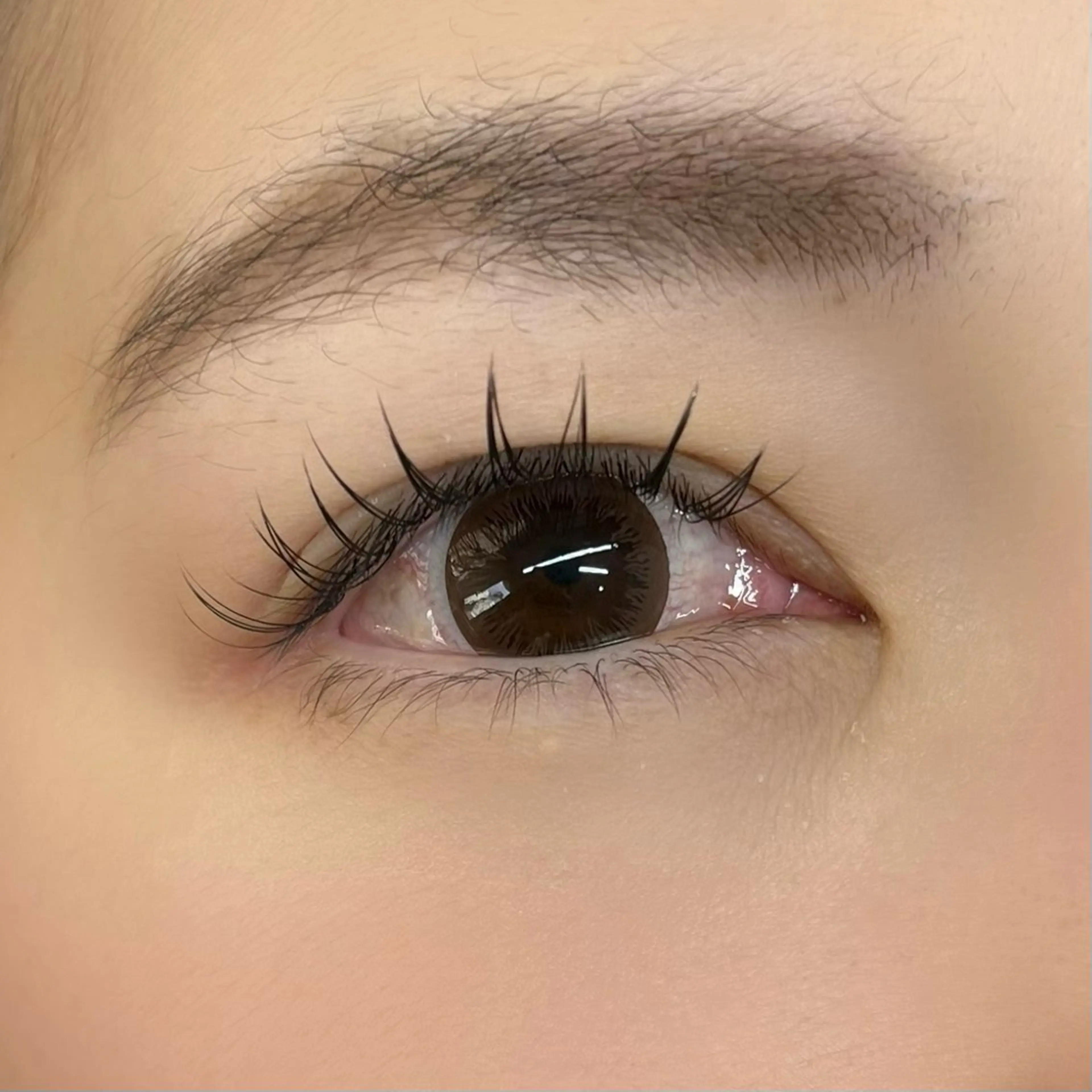 マツエク・マツパ Eden Eyelashのマツエク・マツパデザイン