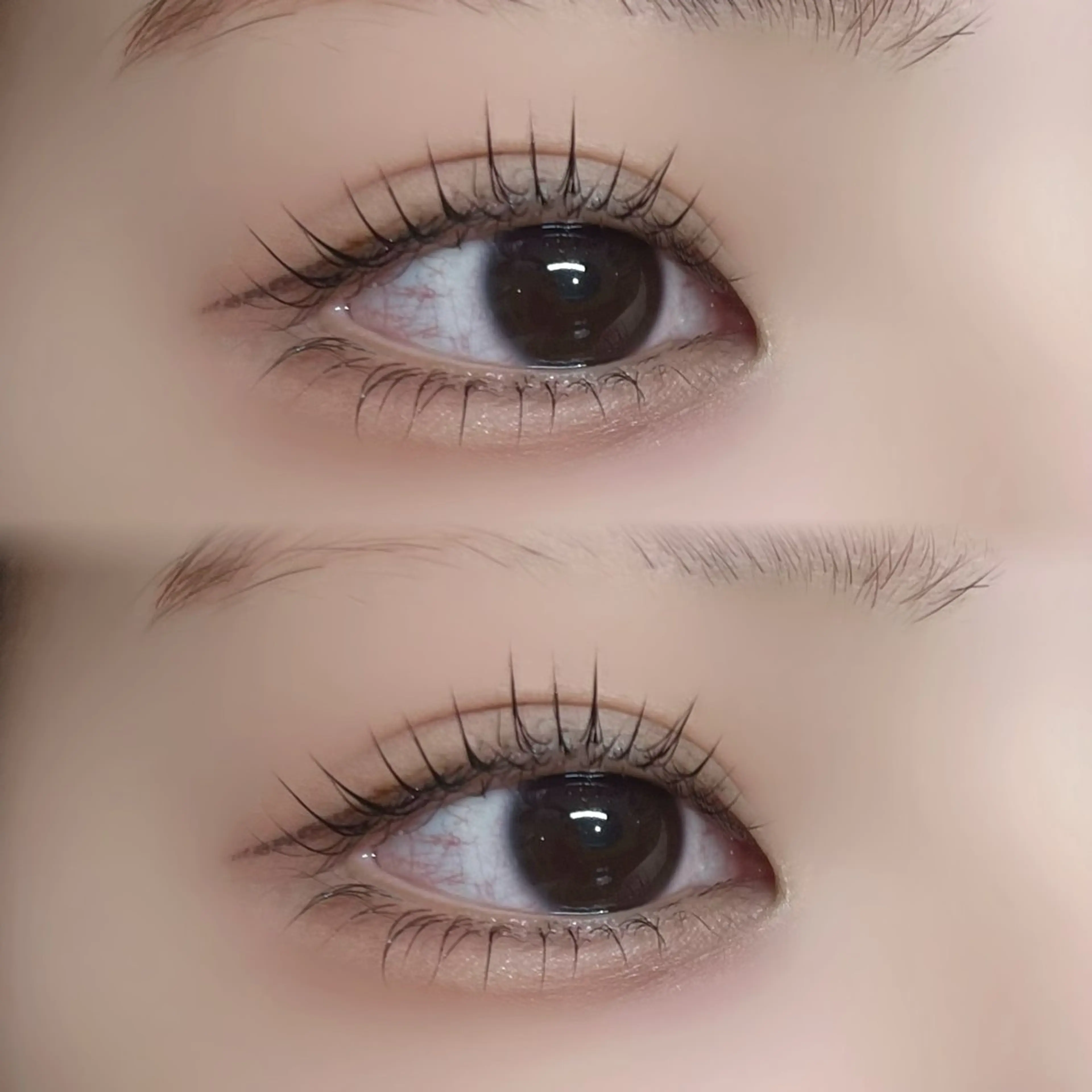 下まつげラッシュリフト✨涙袋・束感にも◎の写真