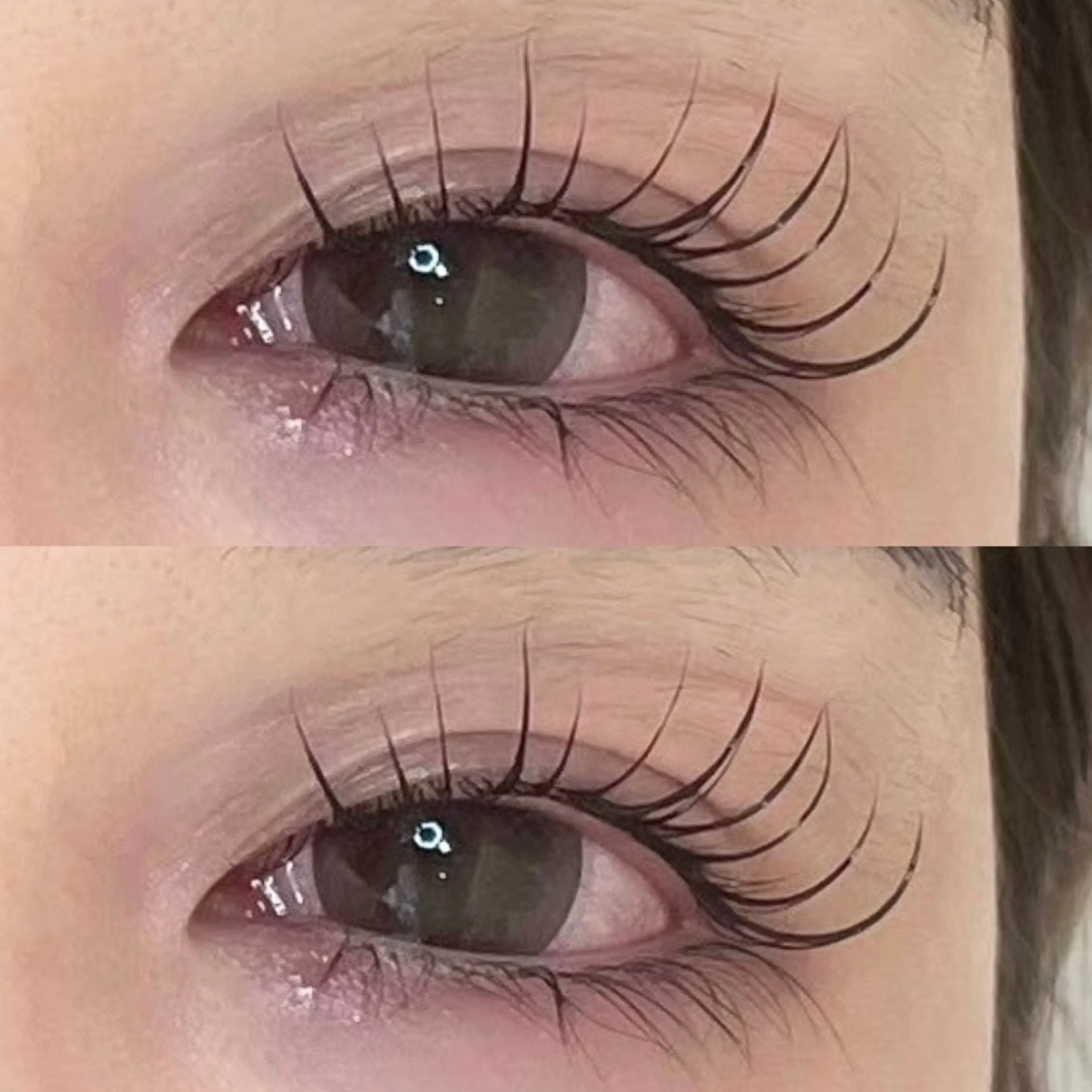 🫧パリエク100本➕アイシャンプー🫧【9900】コーティング剤➕接着強化剤込みの写真