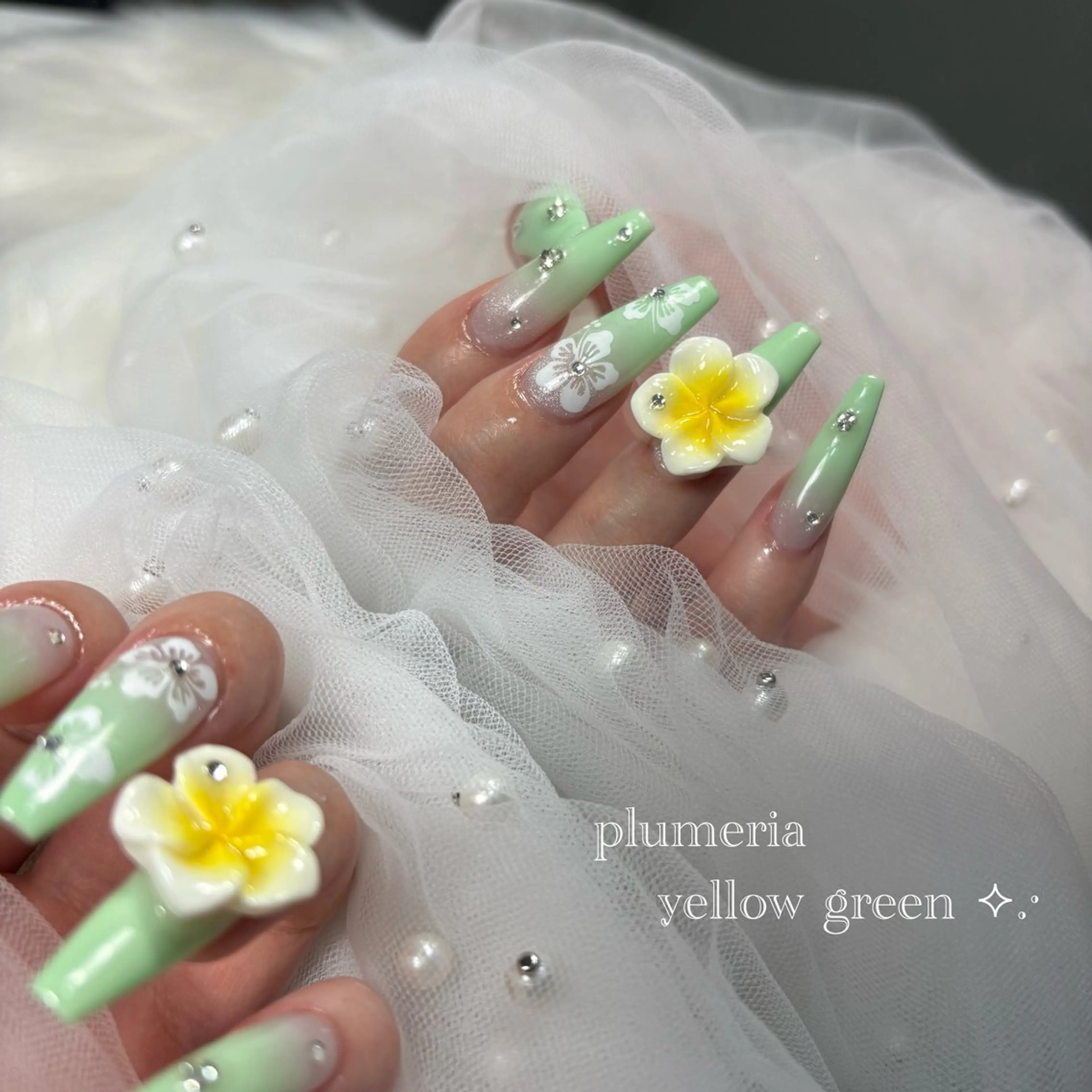 ネイル ハンドネイル 🦋 Rina🦋のネイルデザイン