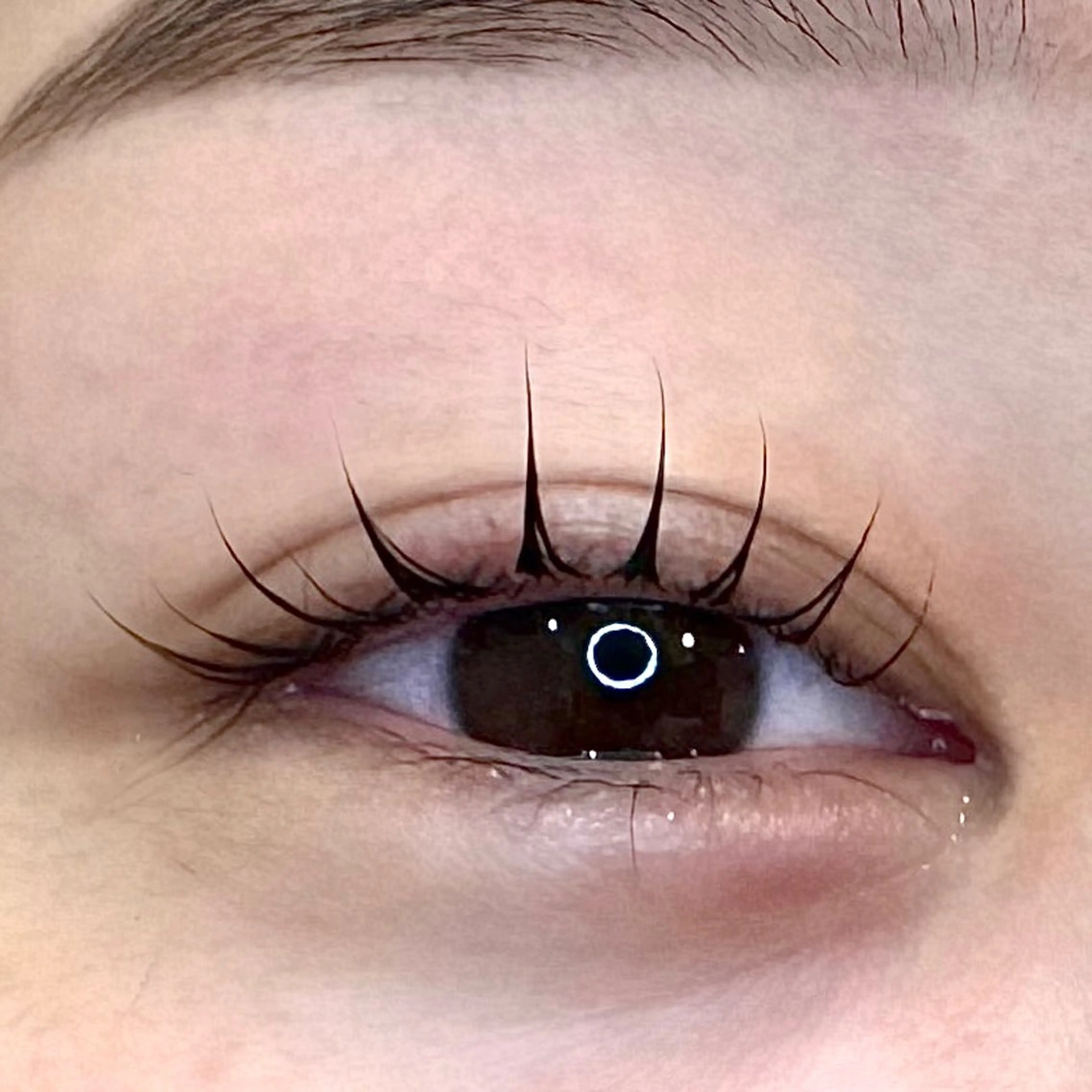 マツエク・マツパ an ♡.゜のマツエク・マツパデザイン