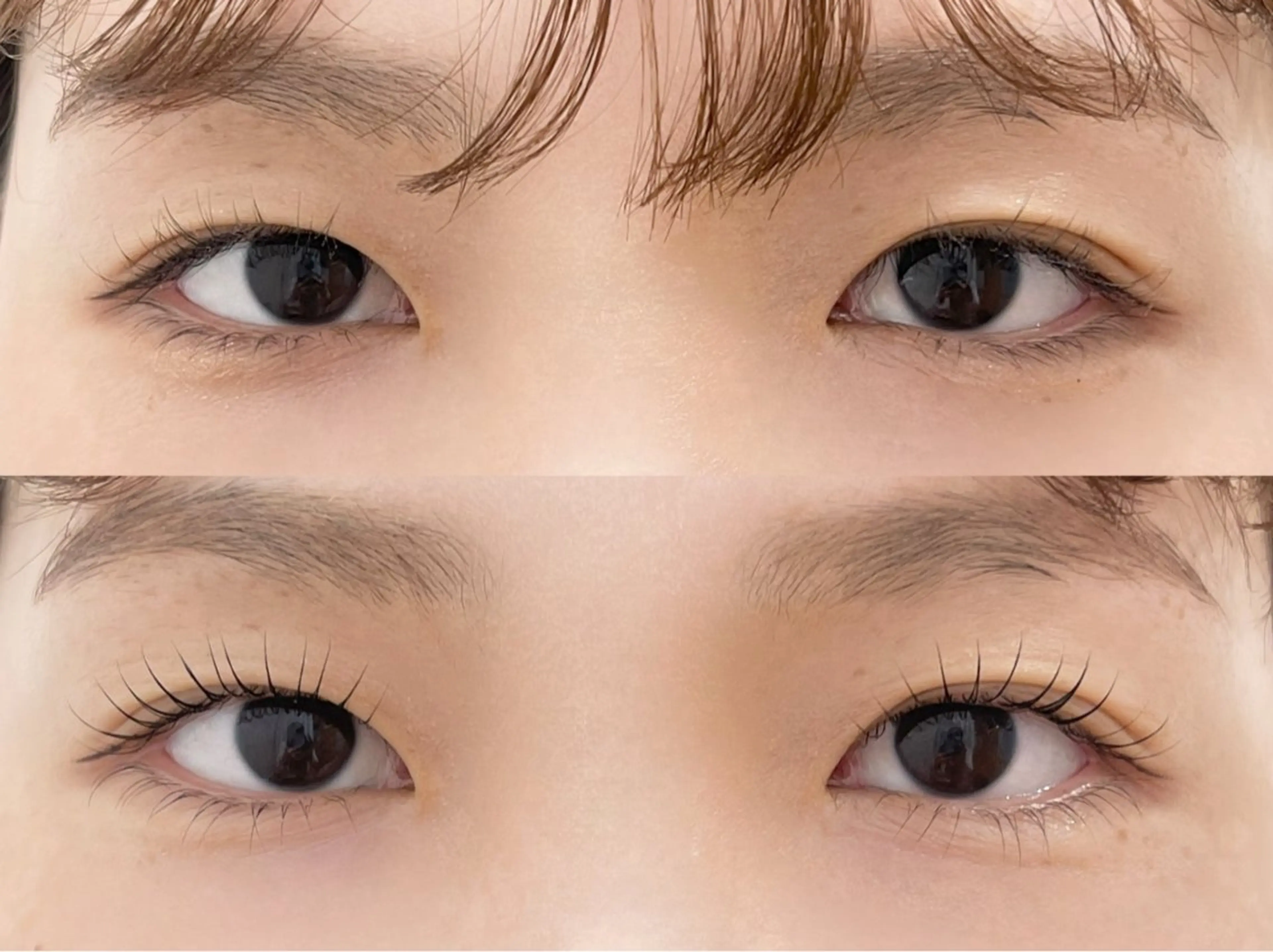 マツエク・マツパ マツパ 原宿まつ毛パーマ専門 🎀アイリストのマツエク・マツパデザイン