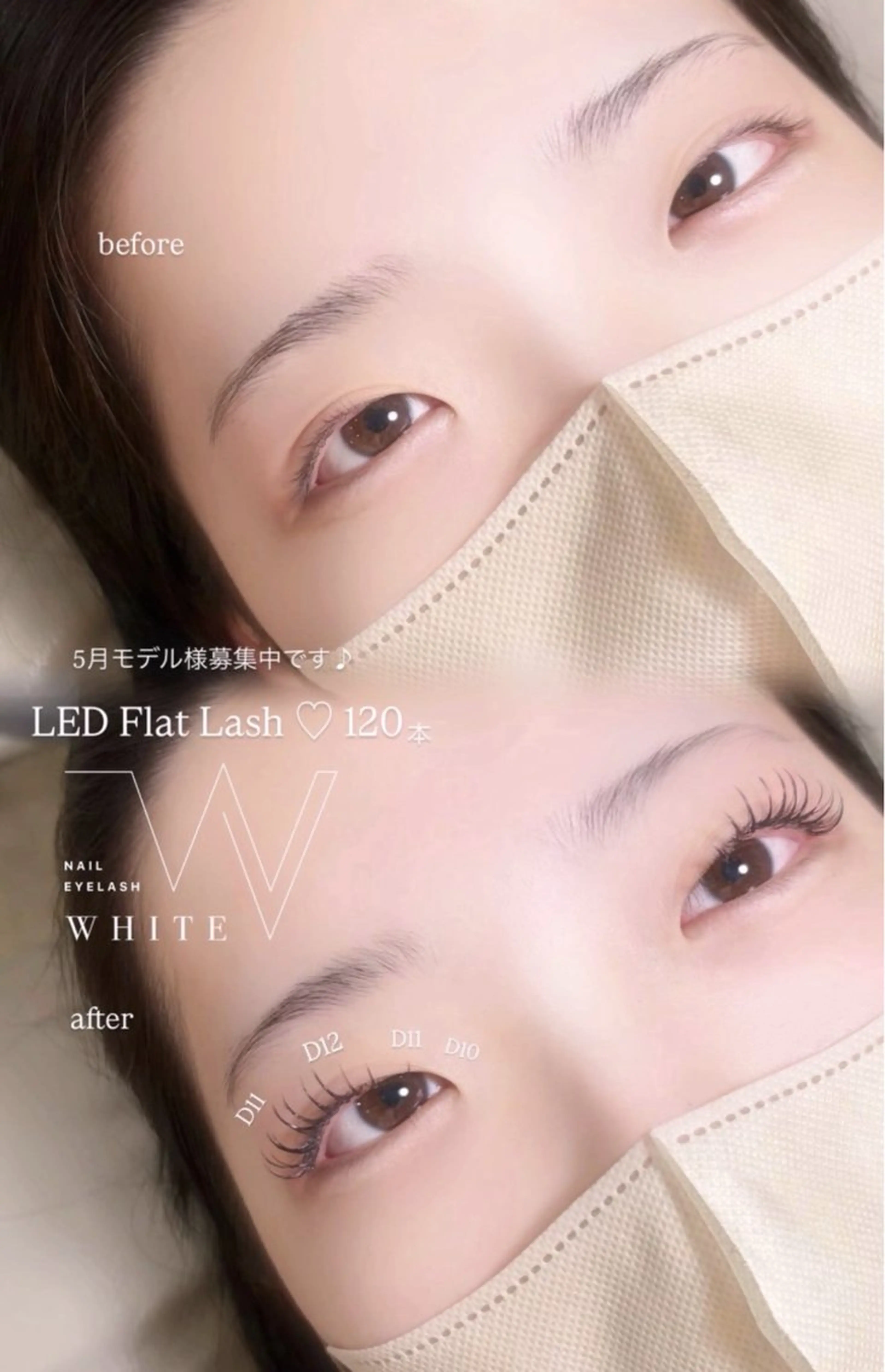 マツエク・マツパ Dカール マツエク 🎀 mayu WHITE 🎀真菅のマツエク・マツパデザイン
