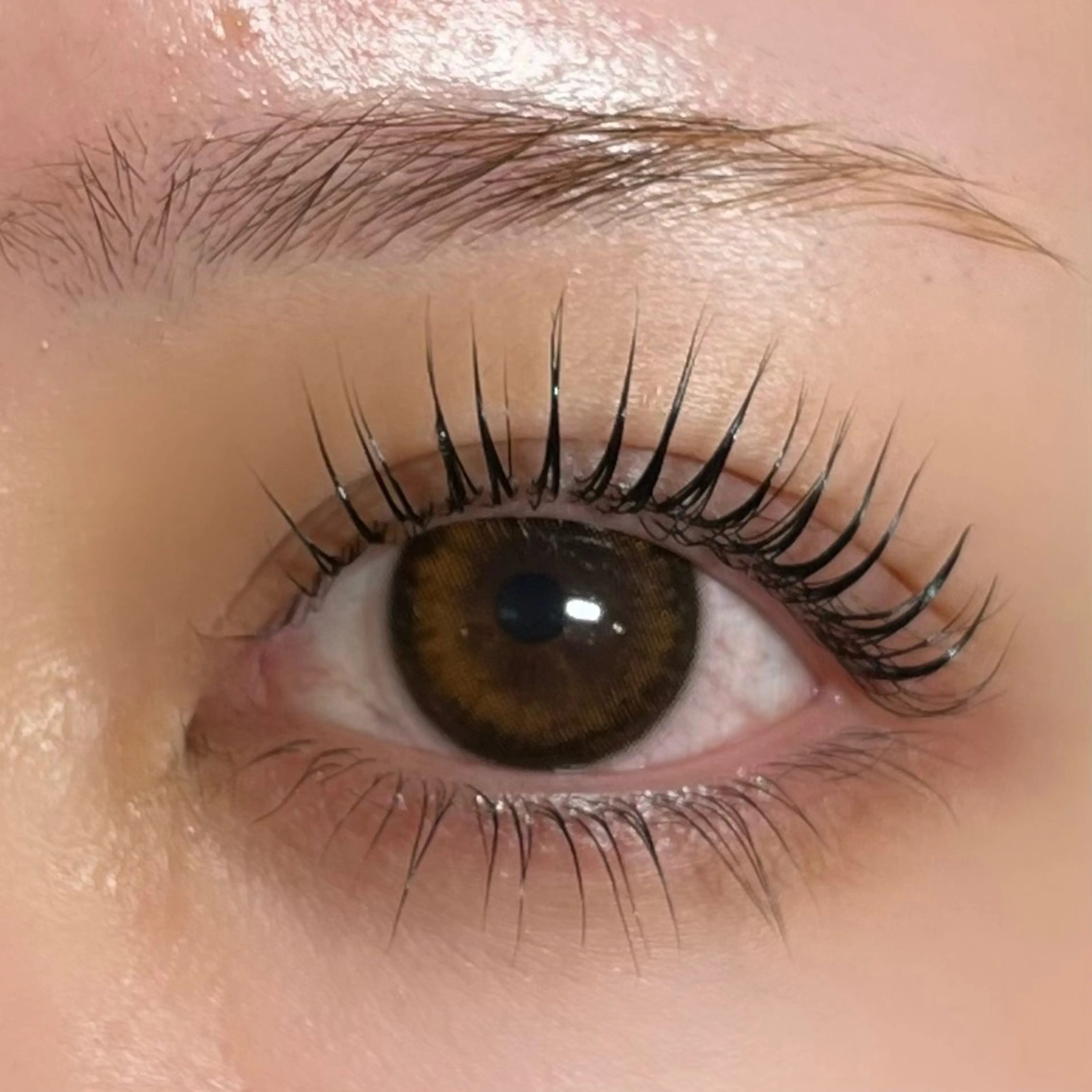 ❤️‍🔥パリジェンヌorまつパ❤️‍🔥上下セットの写真