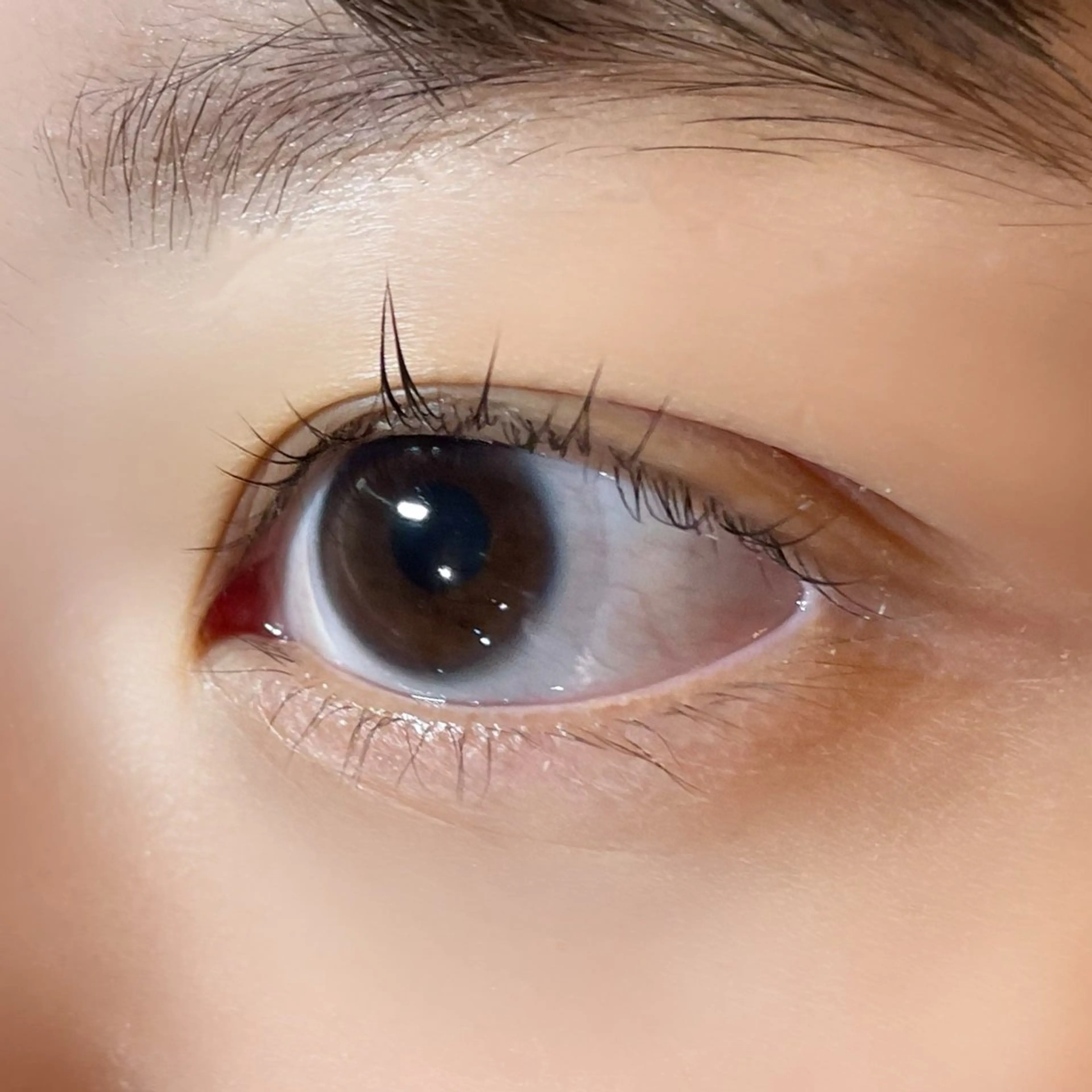 マツエク・マツパ マツパ 櫻井 怜華のマツエク・マツパデザイン